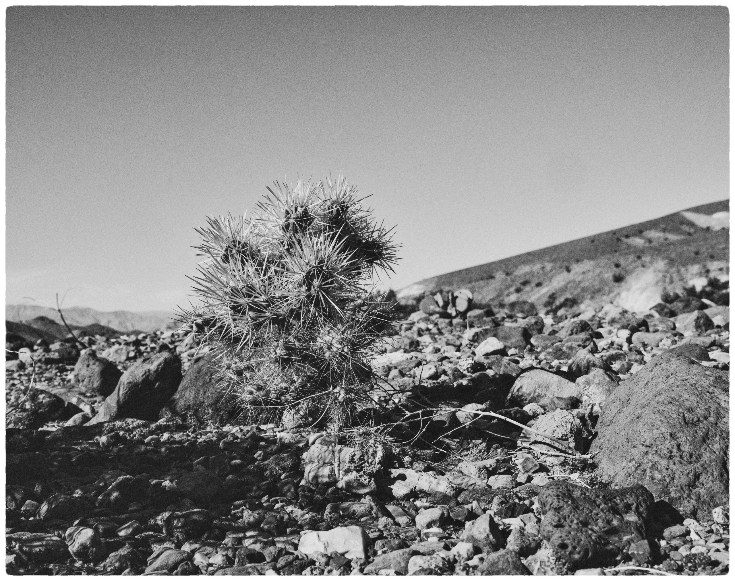 Black and White Image gallery of Tomer Weiss Fine art