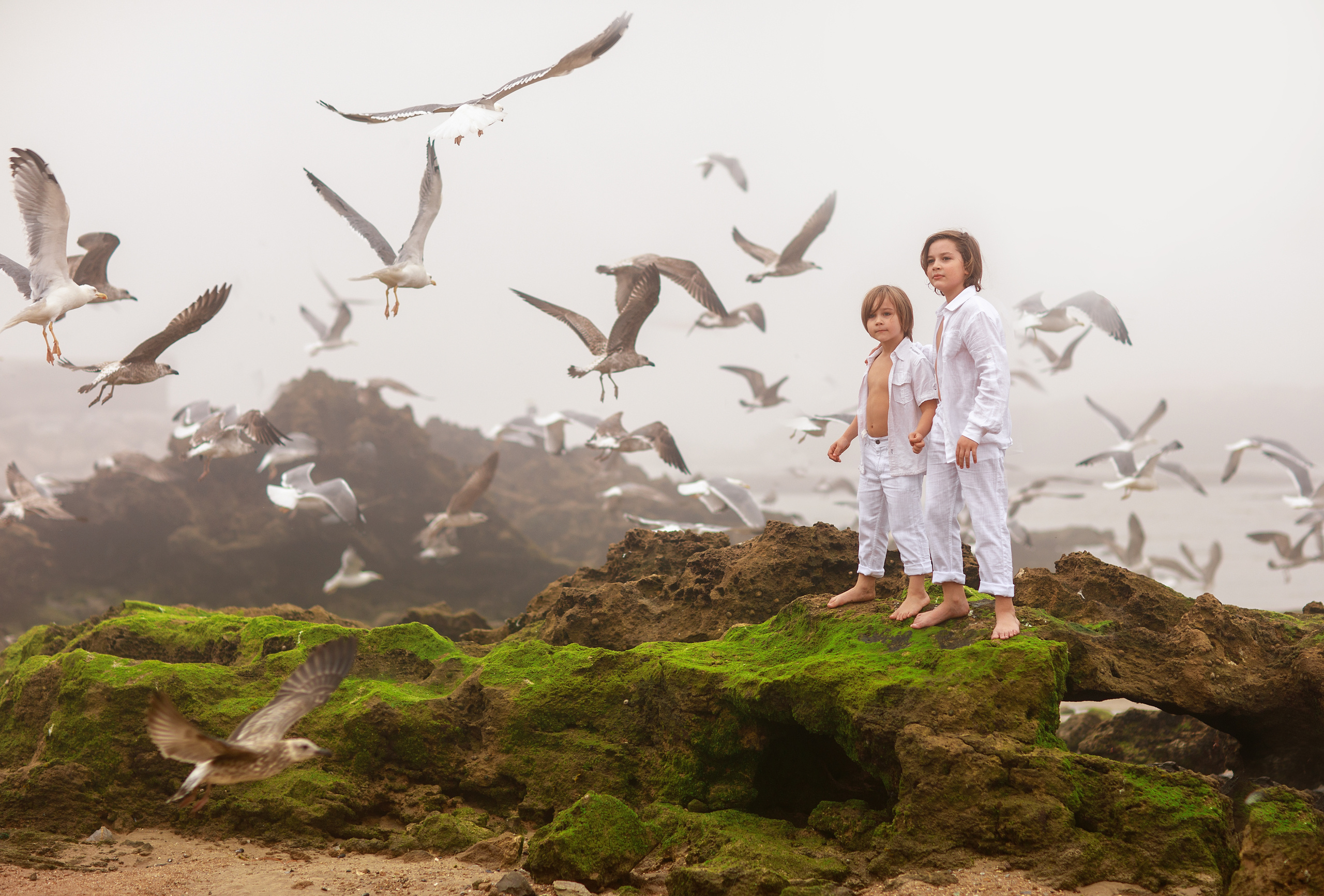 Портфолио. Ирина Недялкова