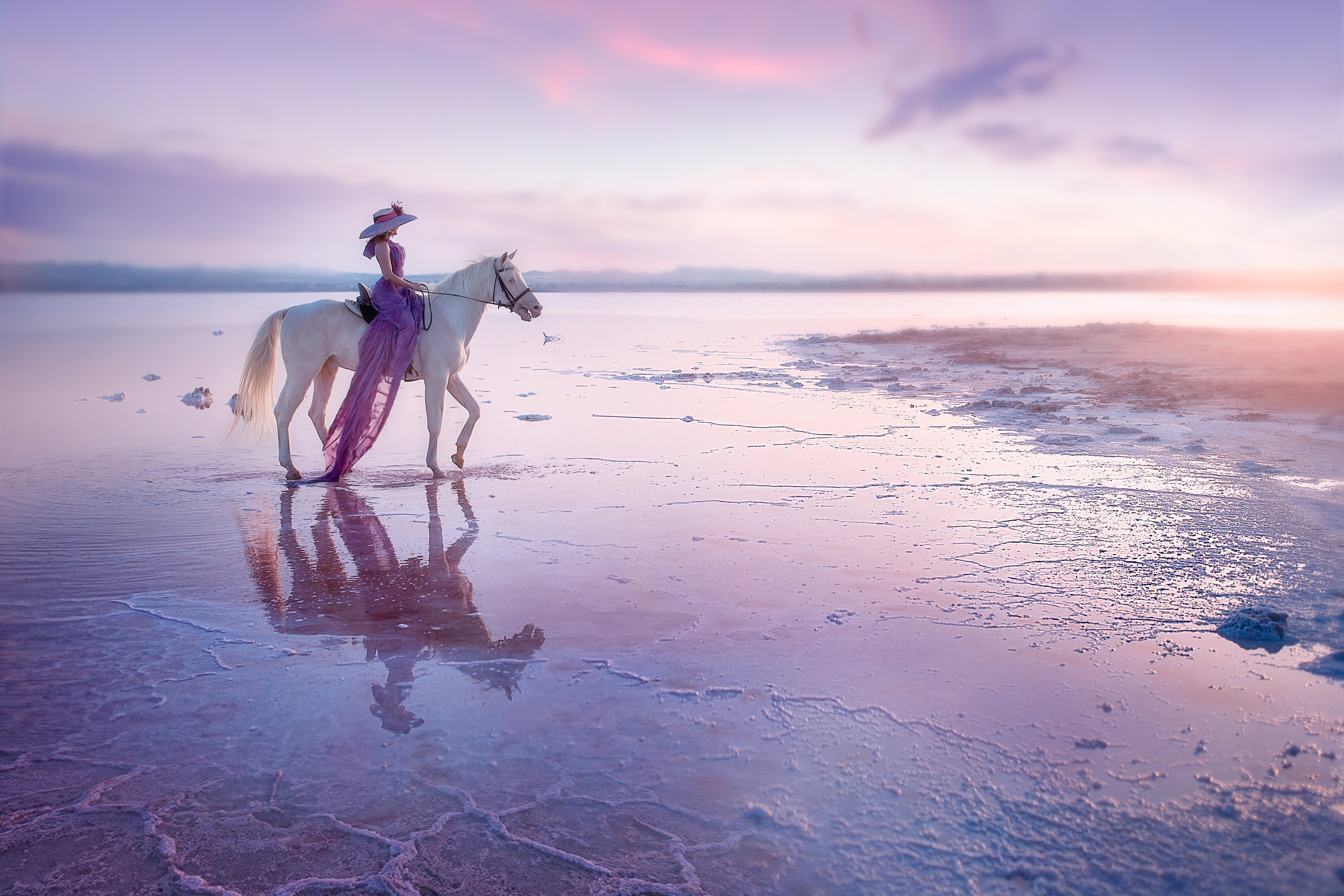 Портфолио. Ирина Недялкова