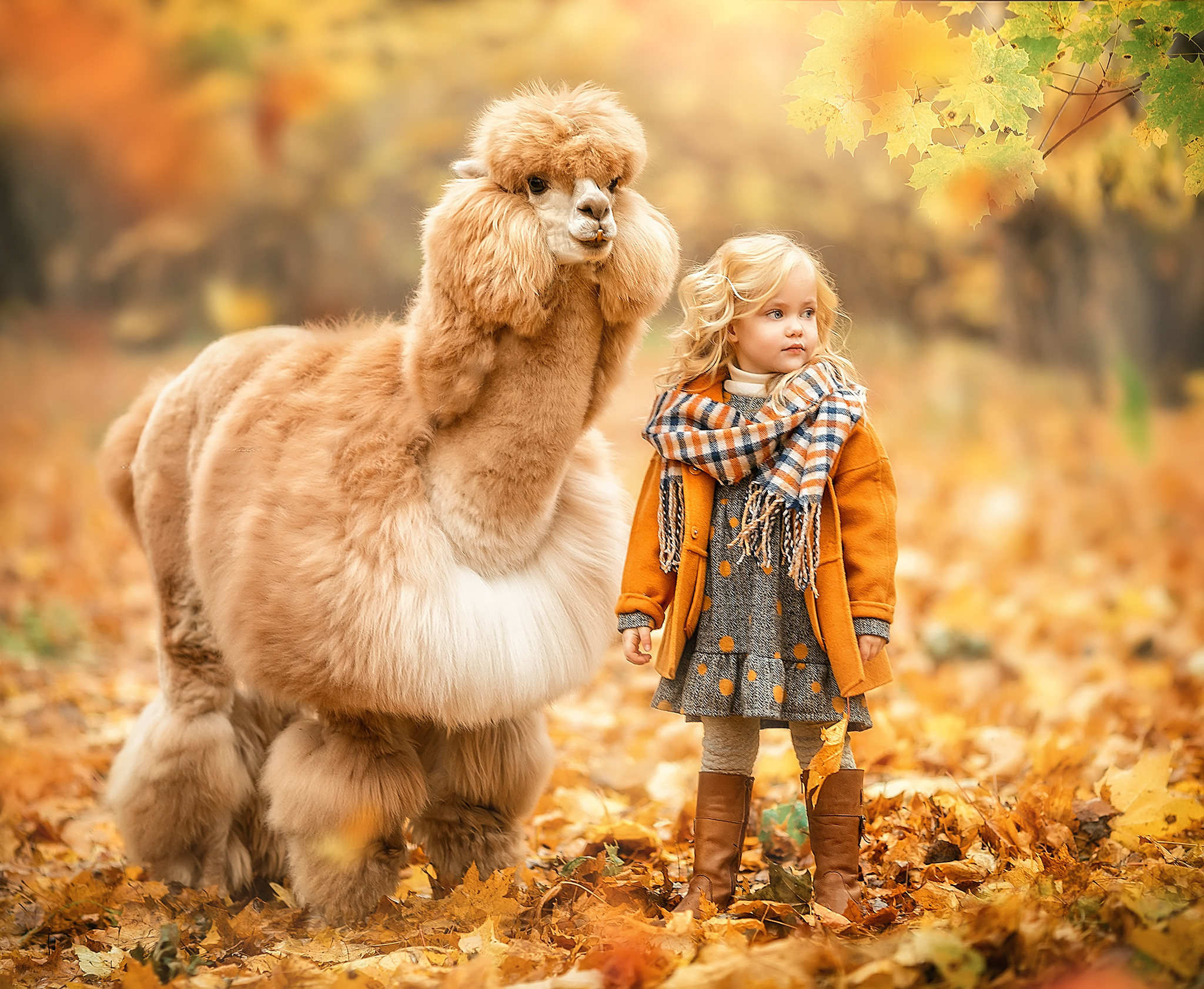 Портфолио. Ирина Недялкова