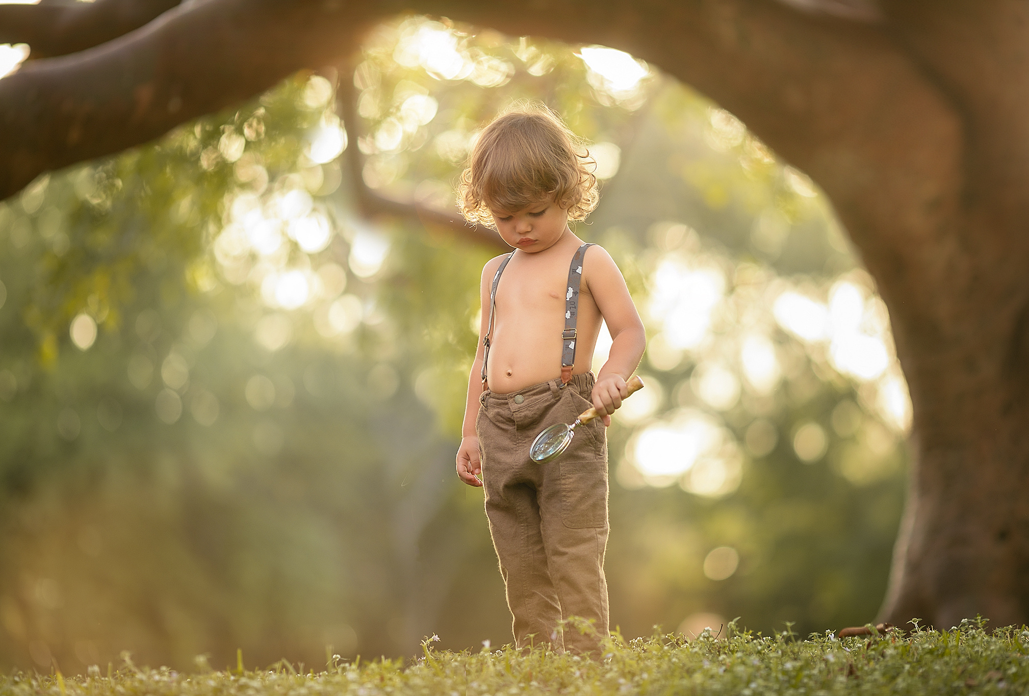 Портфолио. Ирина Недялкова