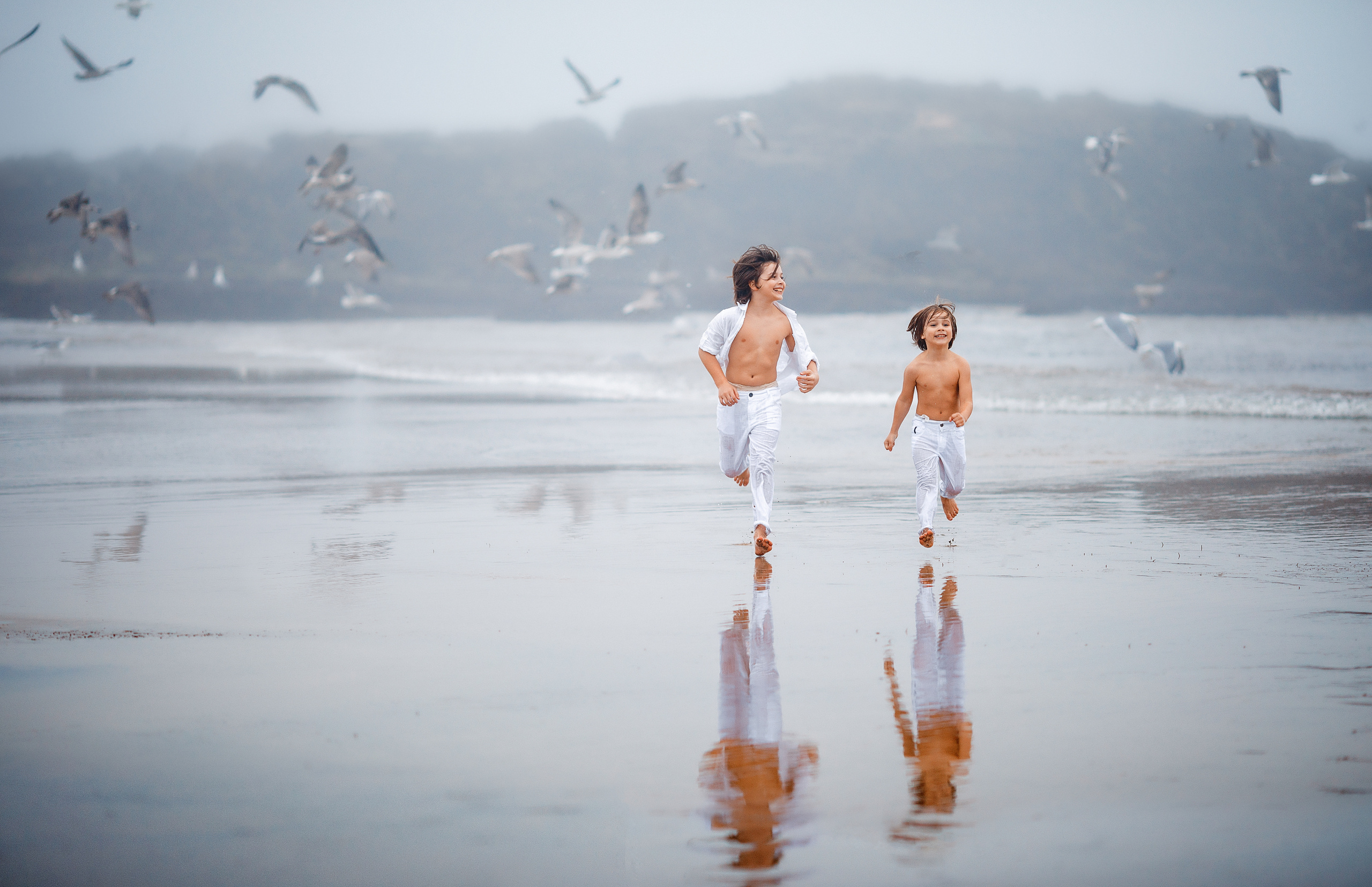 Портфолио. Ирина Недялкова