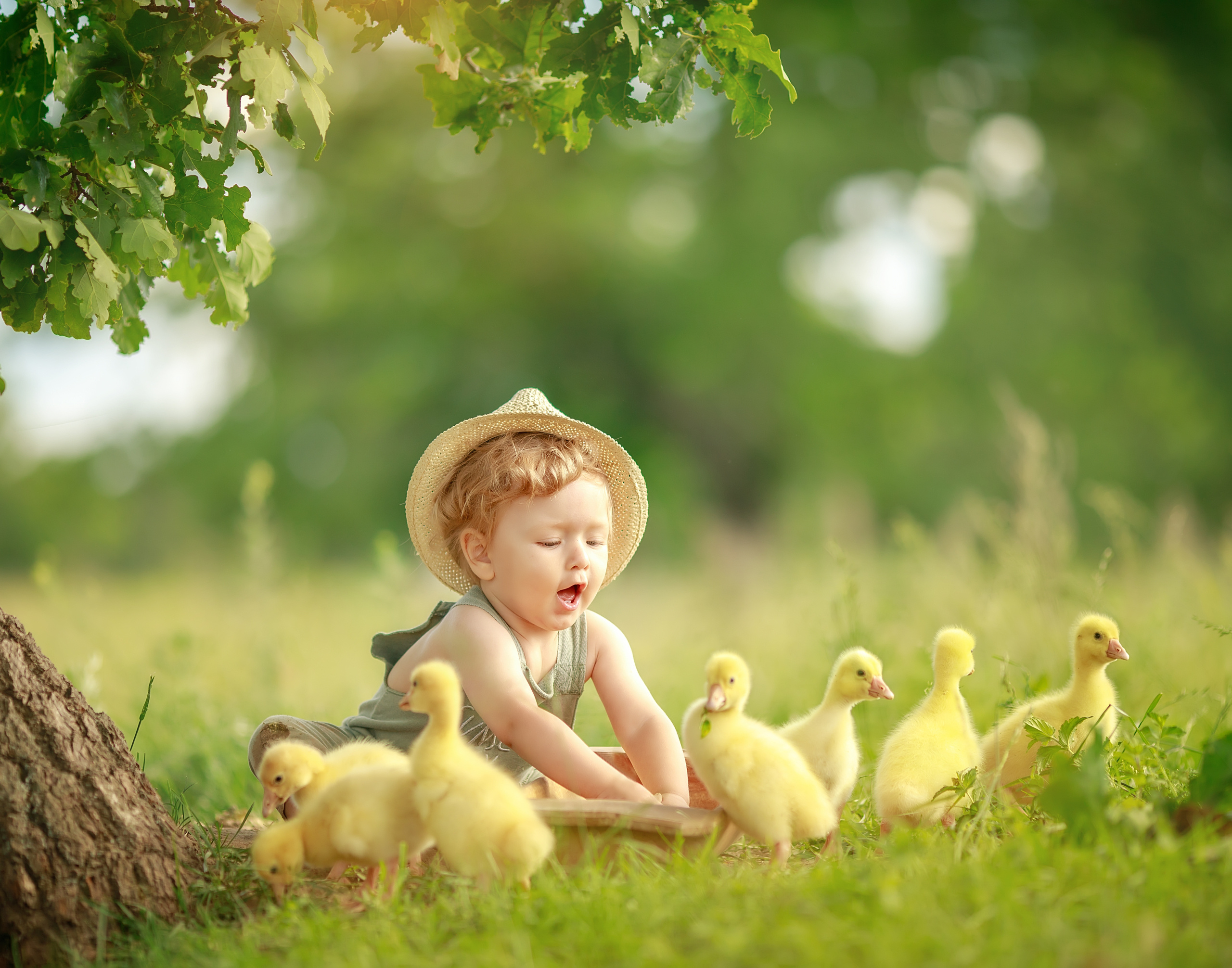 Портфолио. Ирина Недялкова