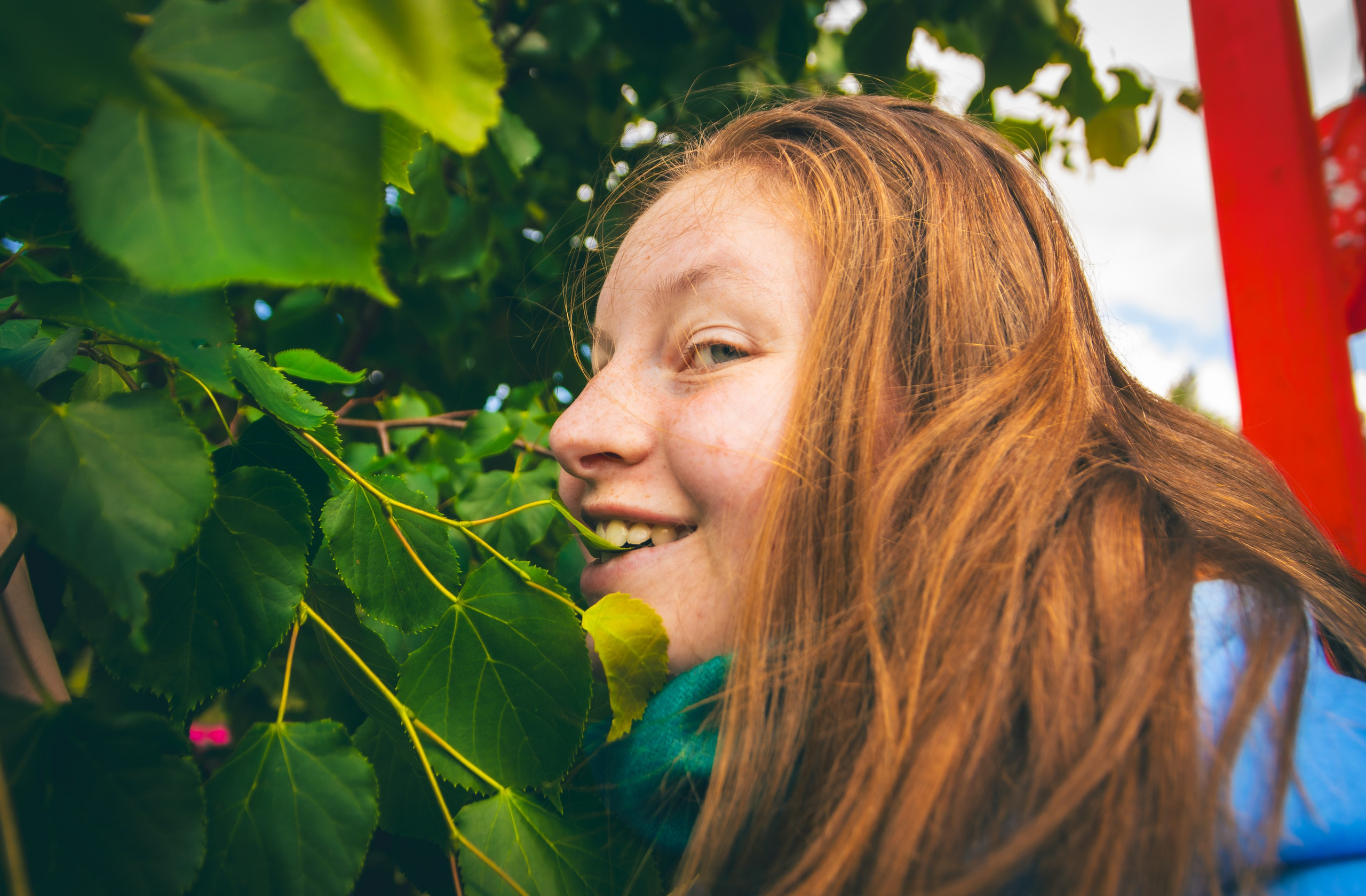 Saaremaa, reis (Nika A.). Nebula 25 — Fotod teie hingele