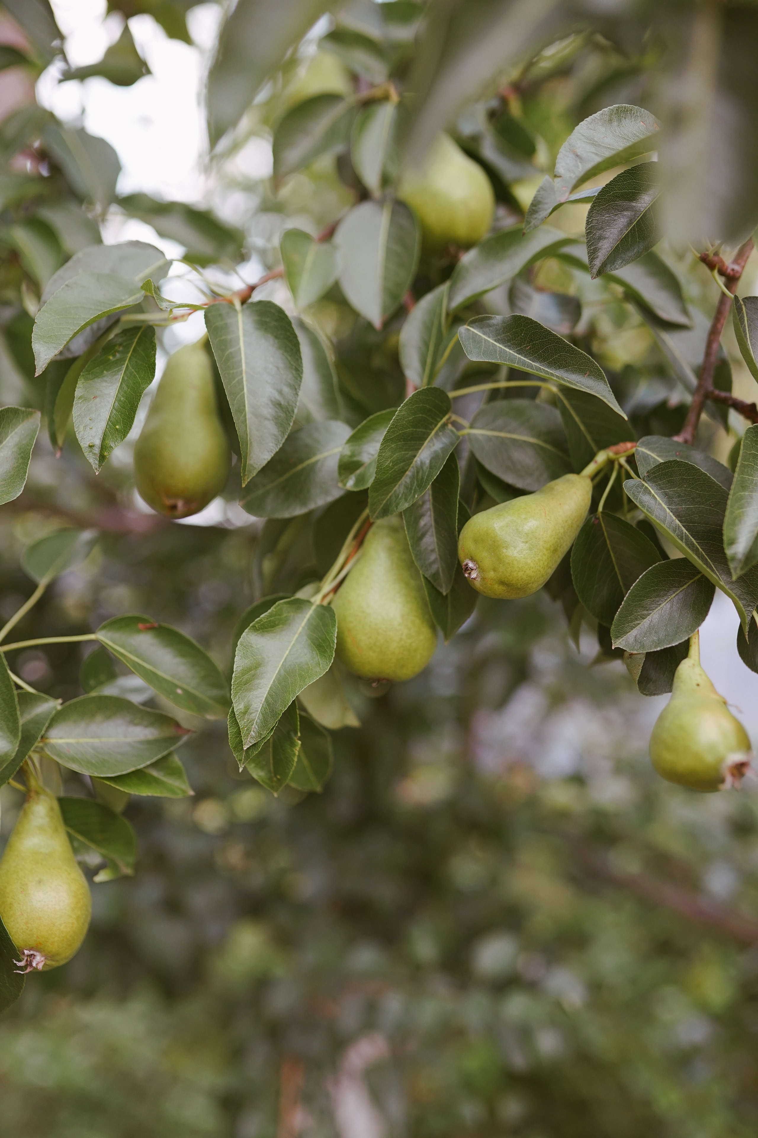 Fotografie de Eveniment Brașov: Povești Vizuale | Mădălina Beda. Madalina Beda- Artist vizual, fotograf, doula la nastere, consultant babywearing Brasov si in toata tara