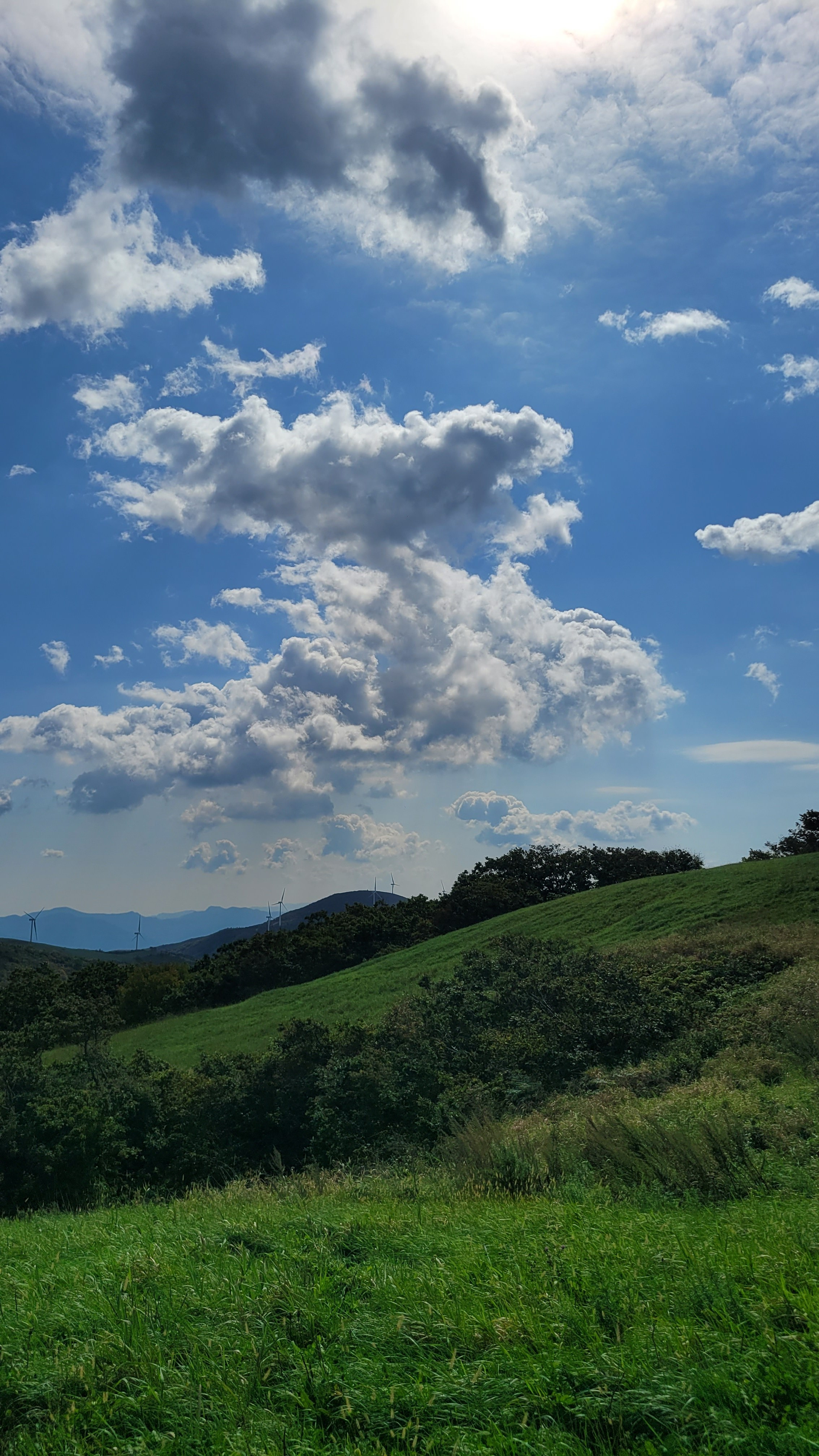 Computer game shooting NETMARBLE — model extra, 01/10/2025. Фотограф в Сеуле, Южная Корея Наталья Доброквашина