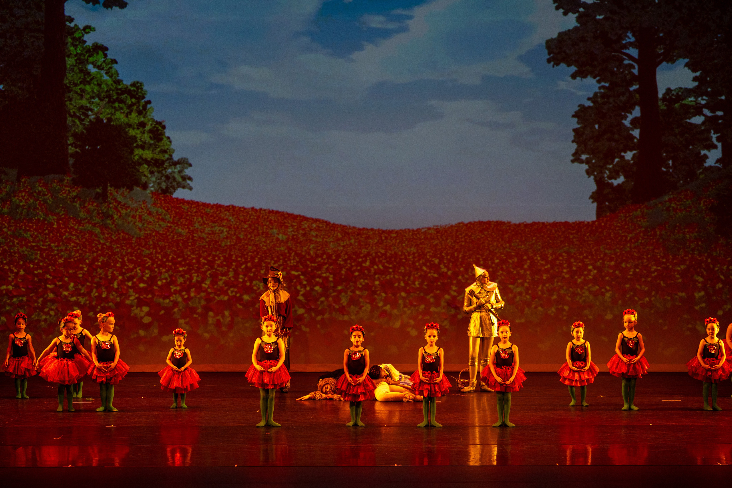 Ballet Photographer Los Angeles. Santa Clarita Photographer