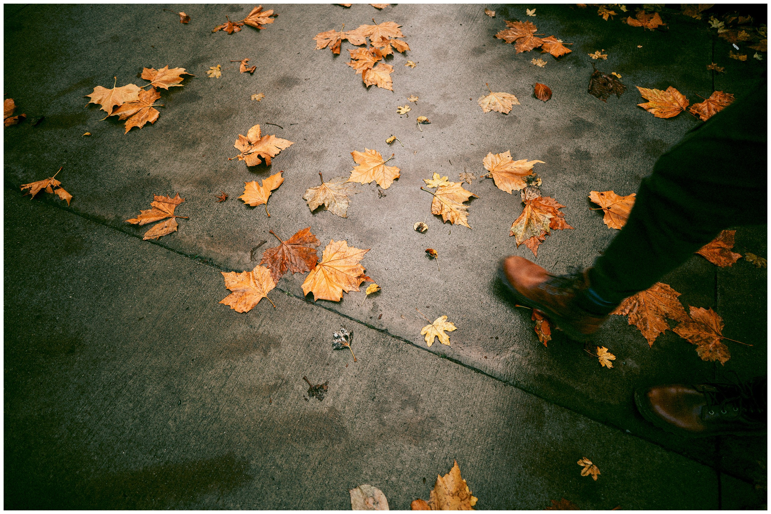 IRELAND. Inna Mendelson — Photographer