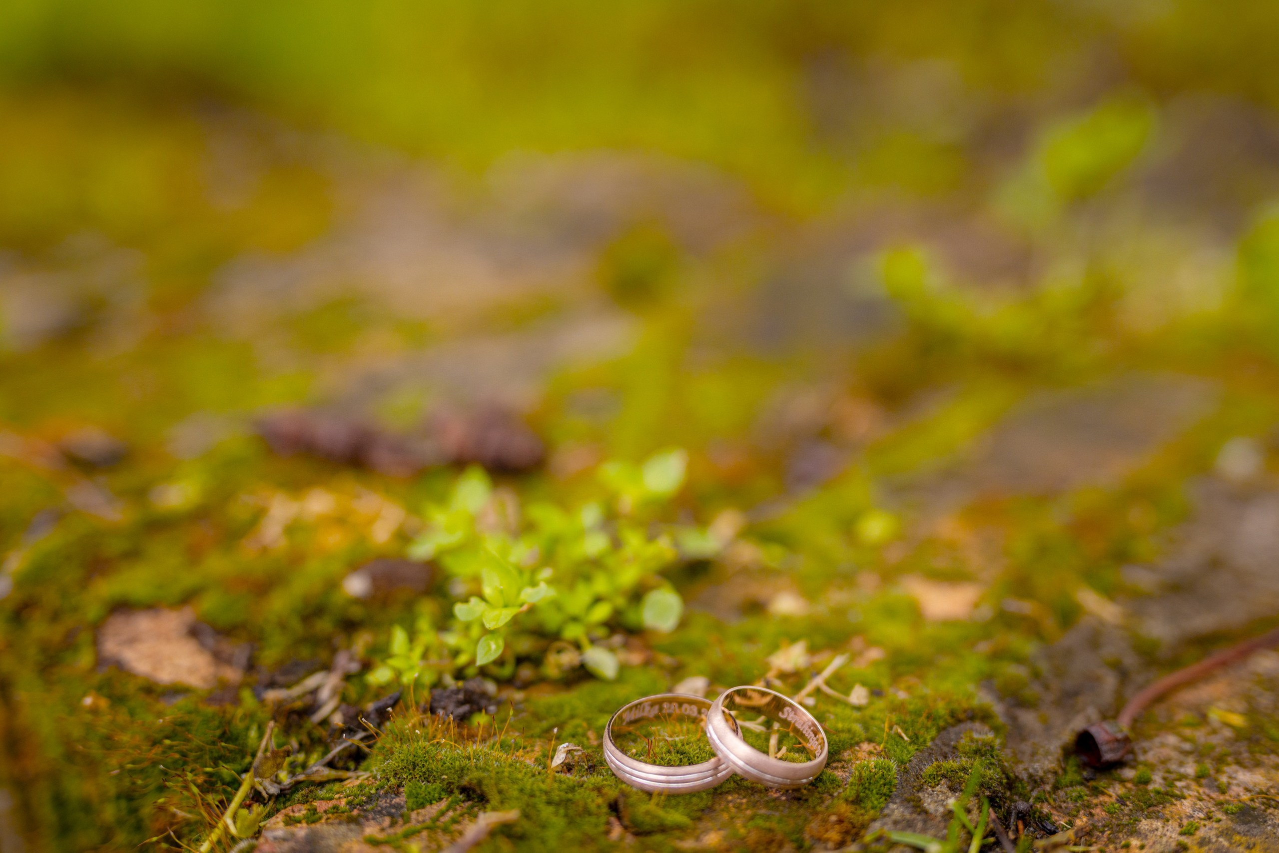 Milka & Strahinja. Marko Tucić Photography | Fotograf Zrenjanin