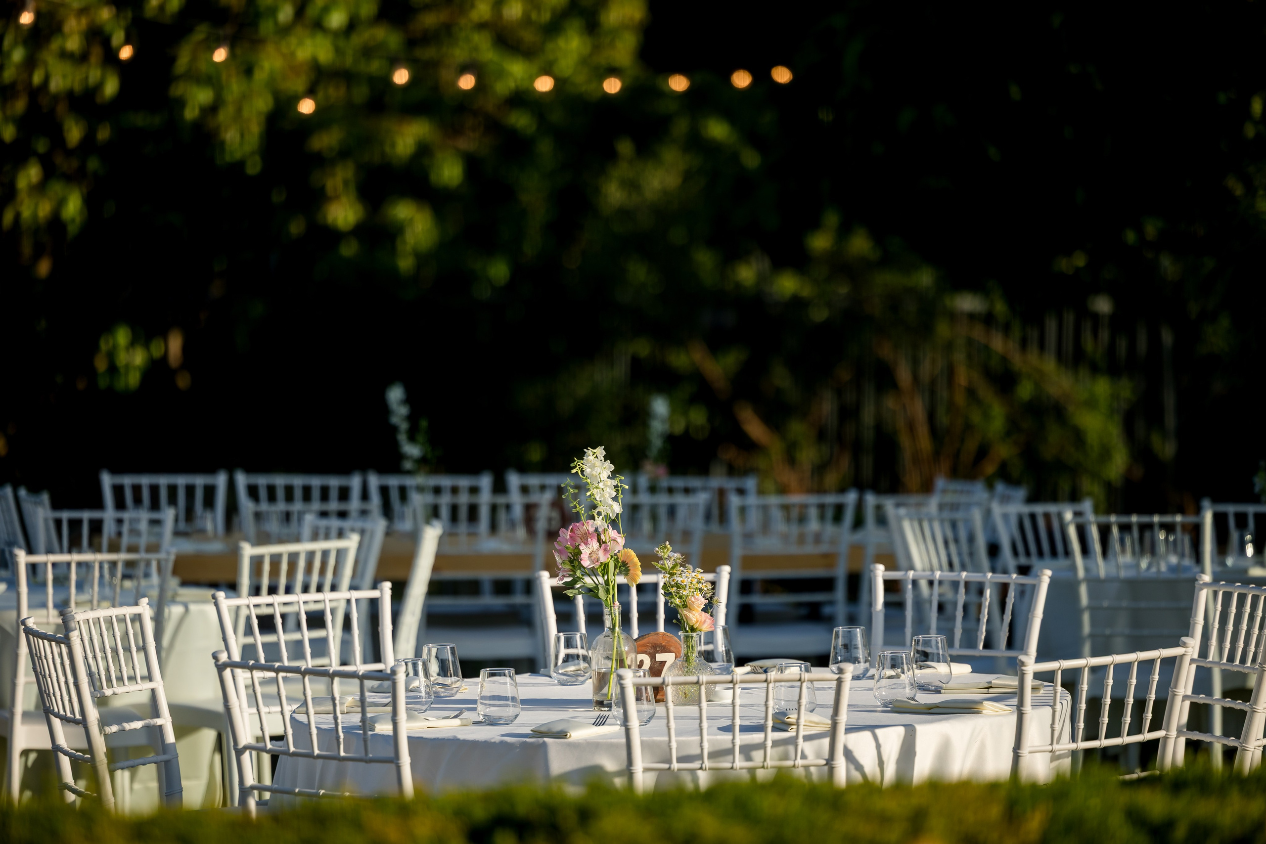 Tamar & Assaf. AMIR BUCHNIK PHOTOGRAPHER