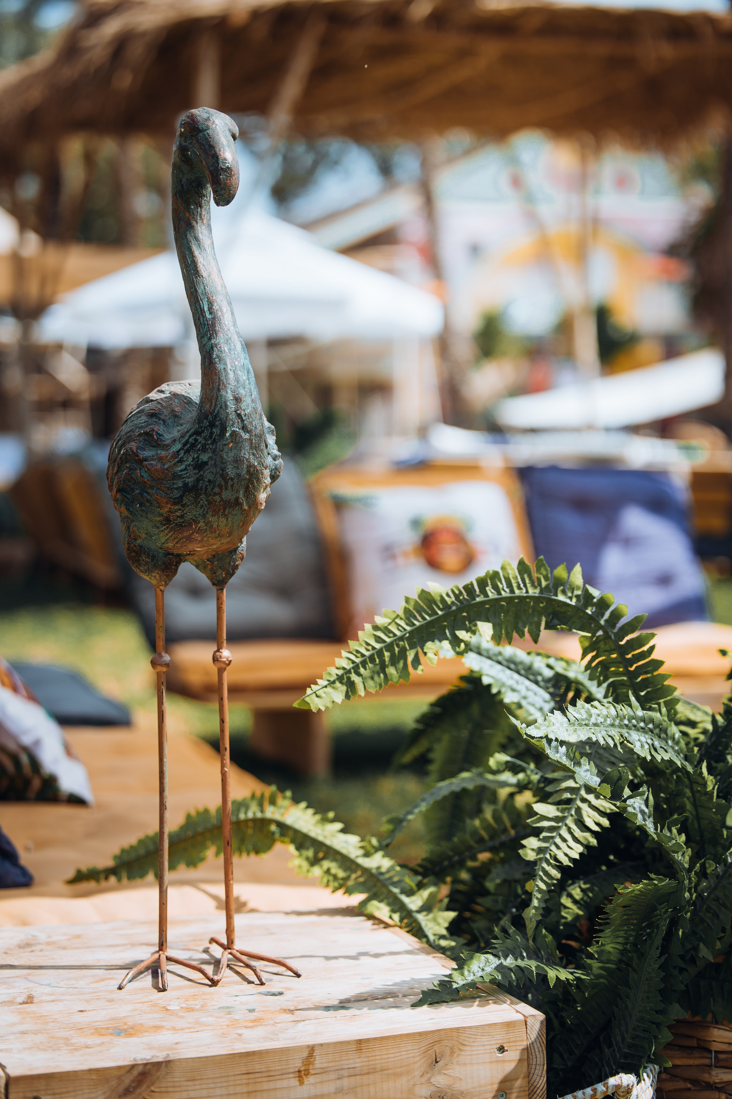 Playtika TIKI TECH. AMIR BUCHNIK PHOTOGRAPHER