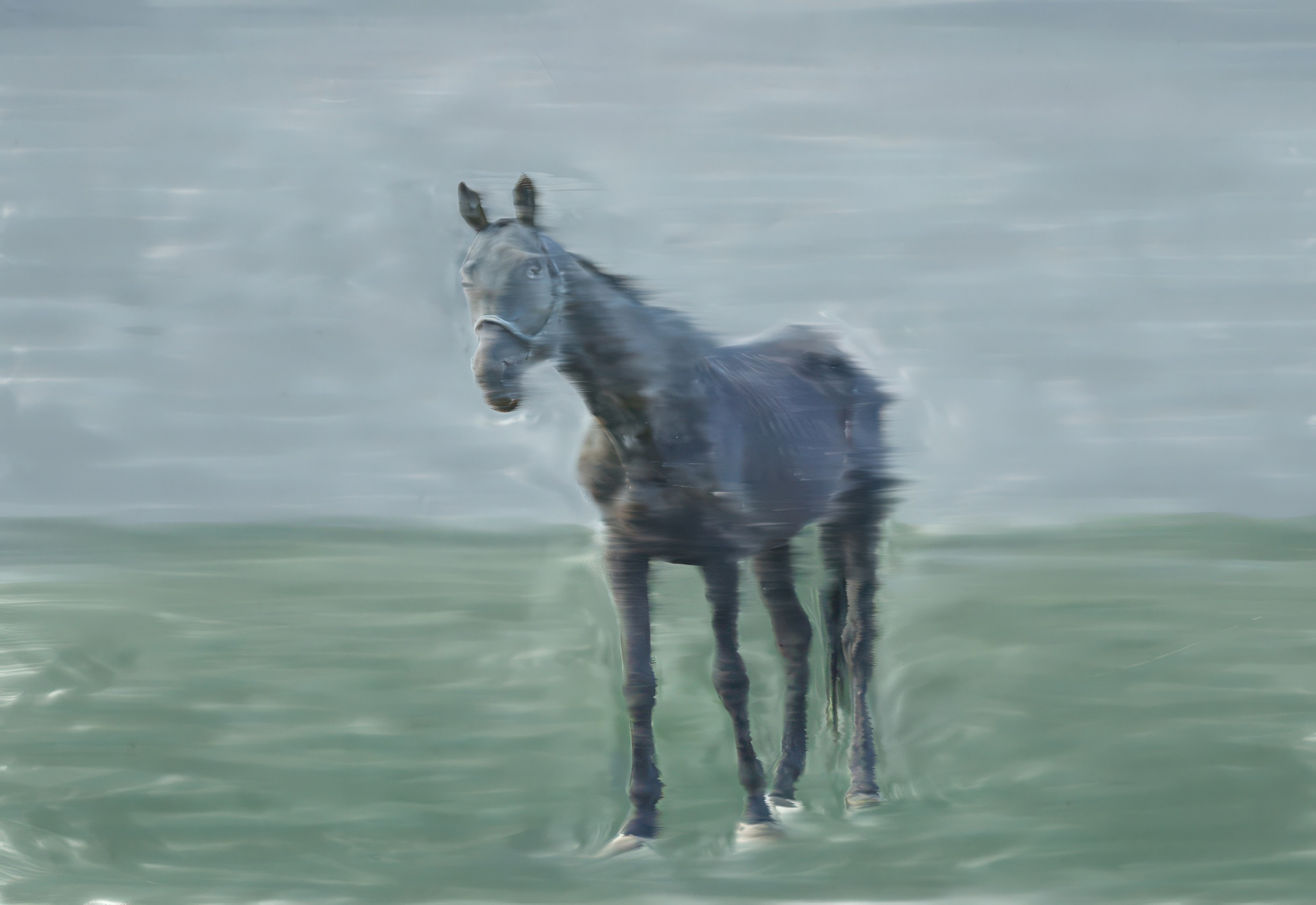 Innocence and Experience. Marina Antonova