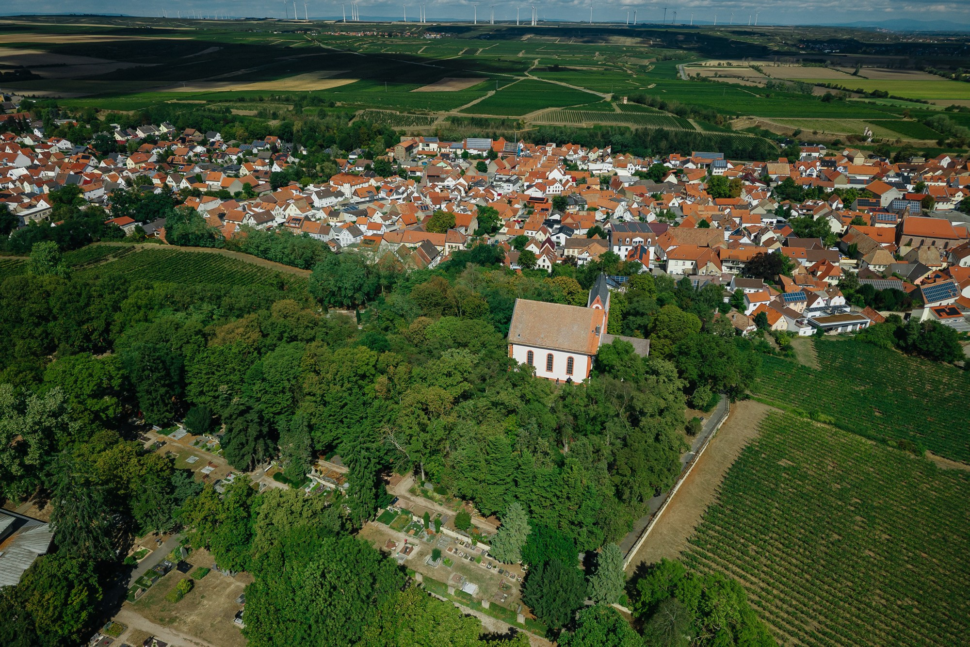 Drone shot of Bergkirche Osthofen above the vineyards