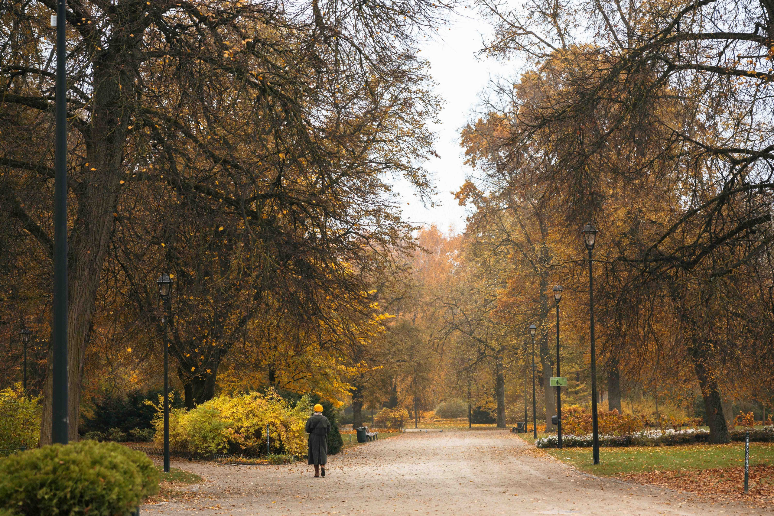 Best Autumn Photoshoot Locations in Vilnius: Top Spots to Capture the Fall Colors. Framed by Evelina | Destination Wedding Photographer from Lithuania | Europe