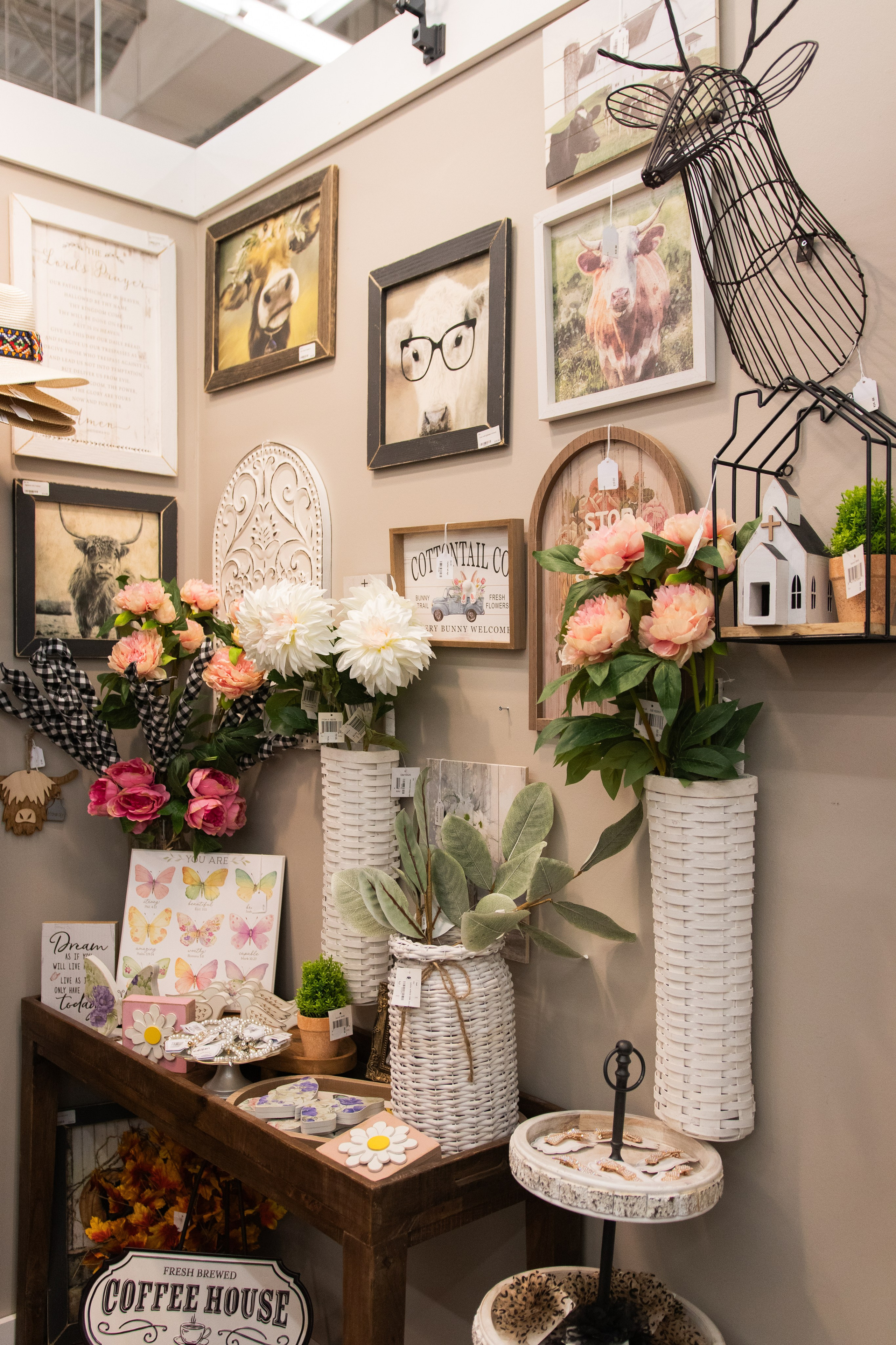 Painted Tree Boutiques winter 2026 retail collection photoshoot in Round Rock