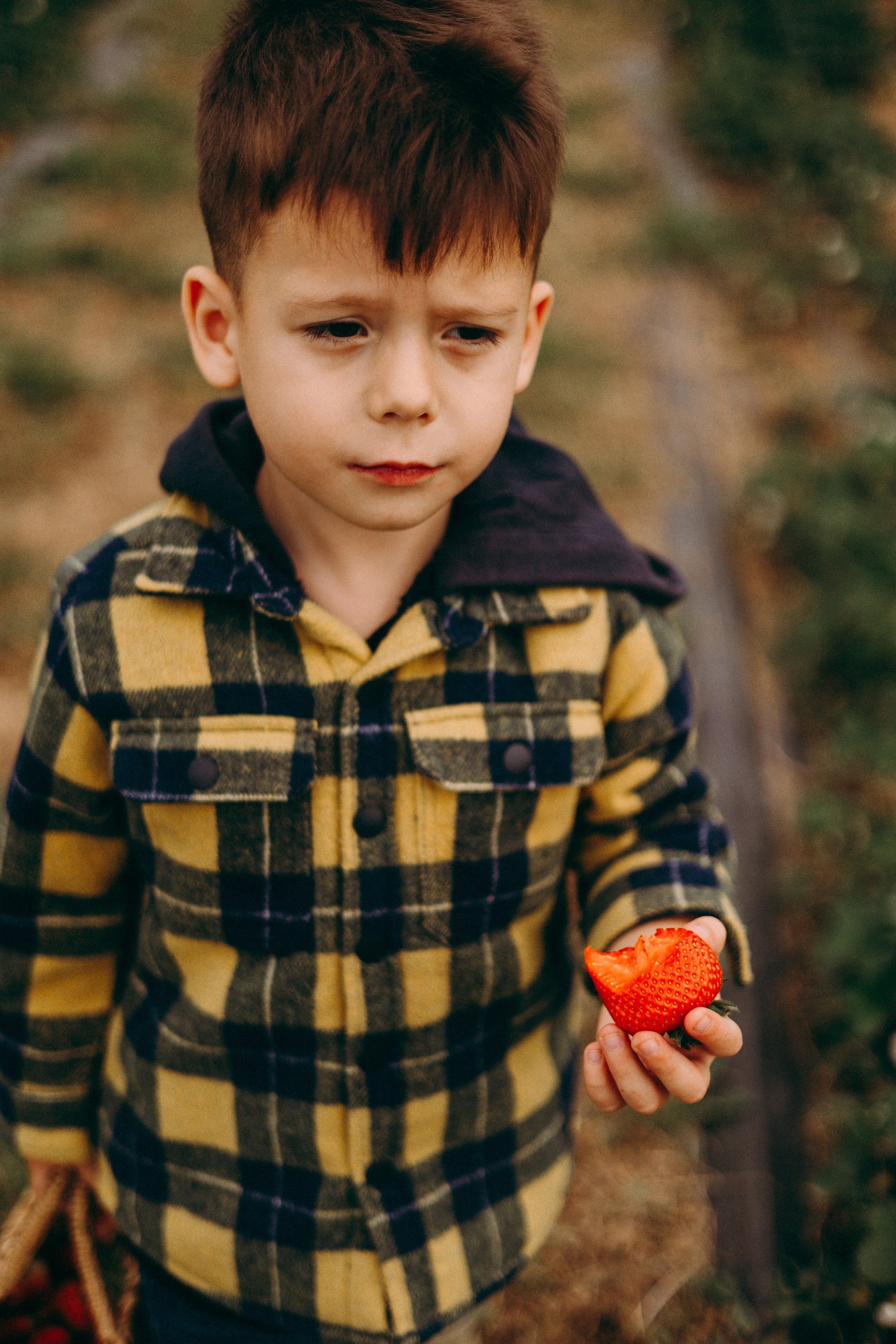 Cueilette fraise. Photographe en Côte d’Azur