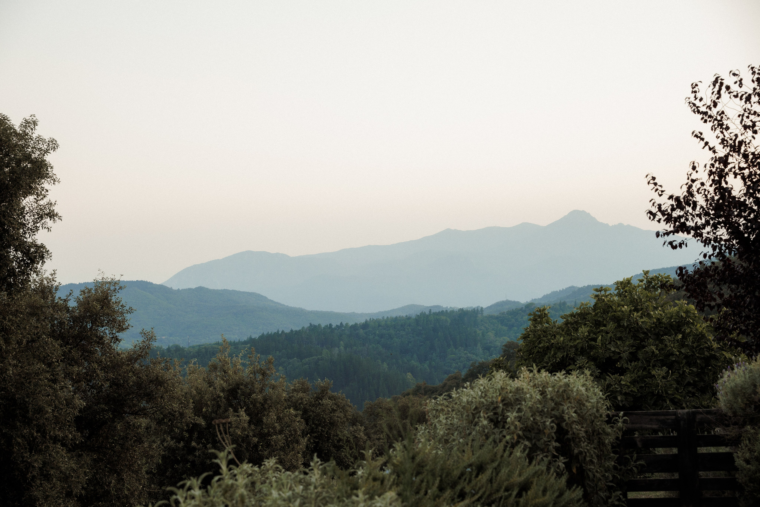 Patrik & Naomi. Monestir Sant Salvi. Paola wedding photographer / videographer in Barcelona