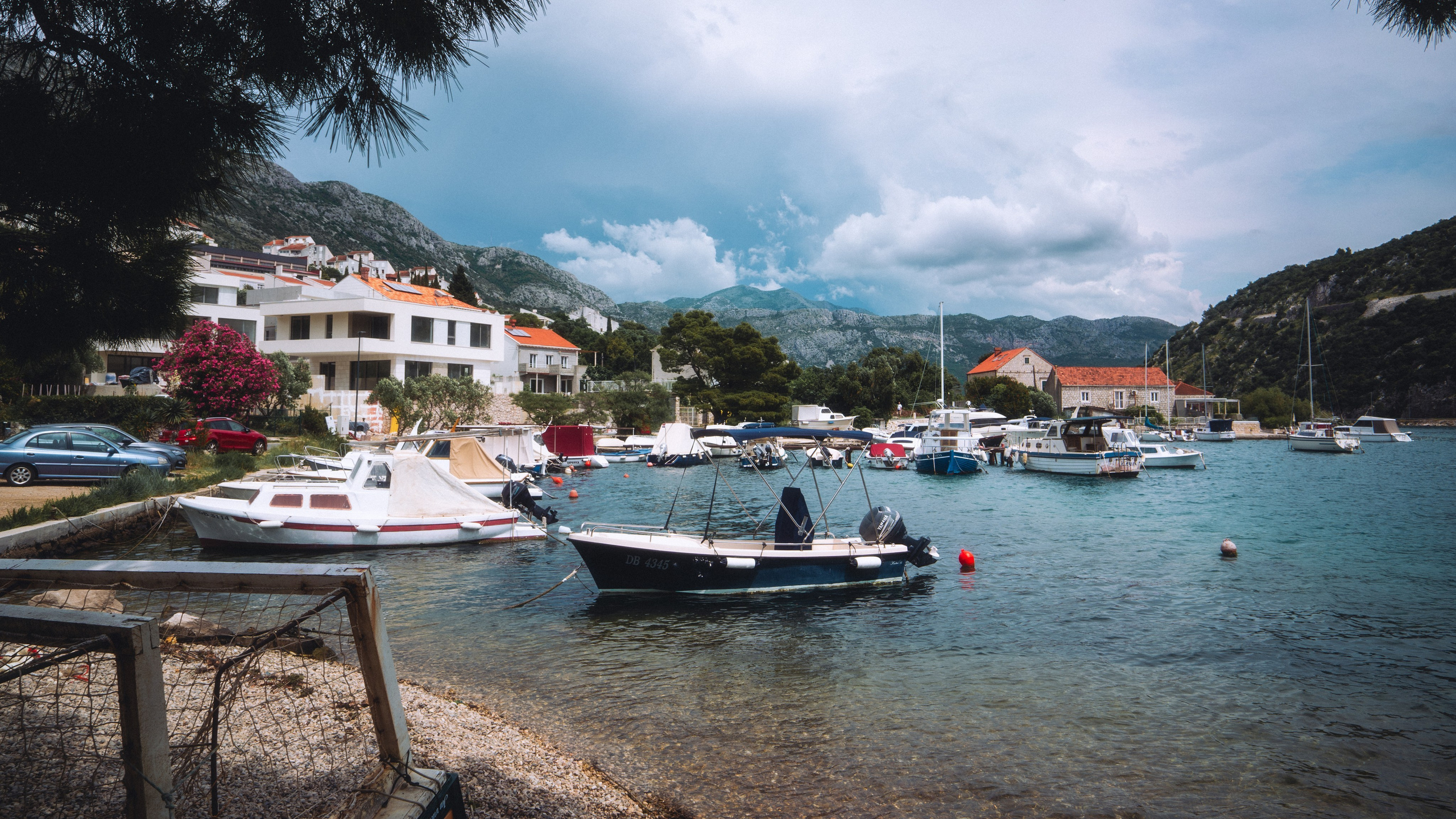 Roaming. Mike Avelli