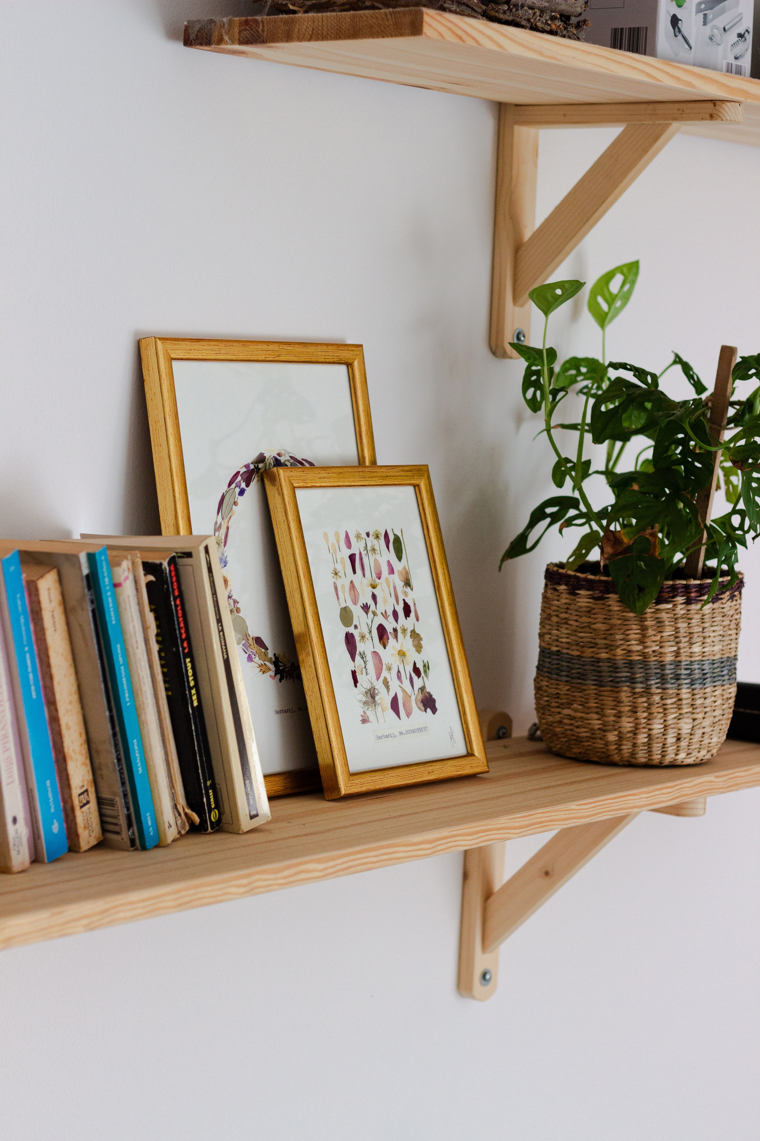 Portfolio. Herbarij studio