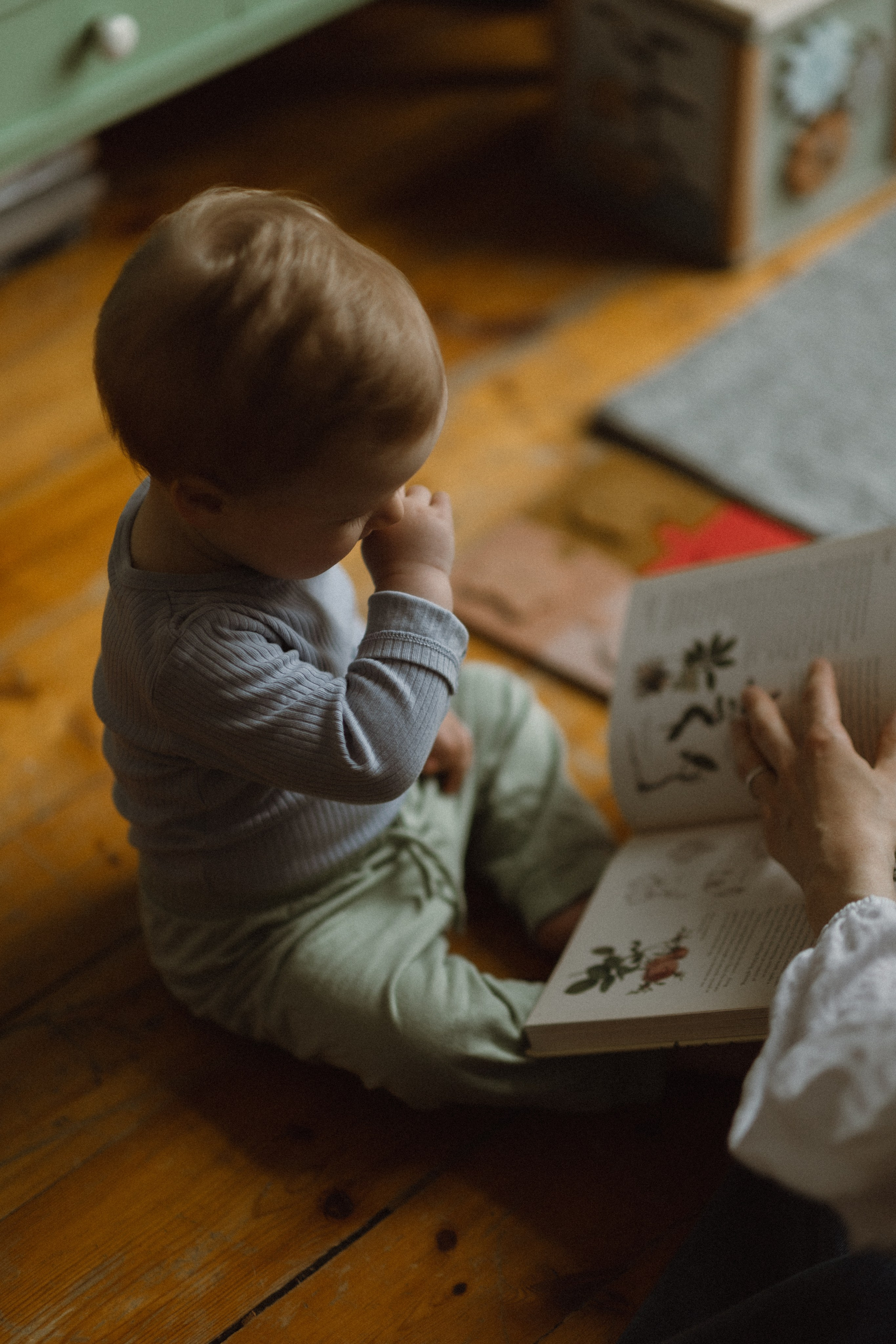 Jauki šeimos fotosesija | NAMAI. Vestuvių ir šeimų fotografė Lena Bondarenko / belove photo