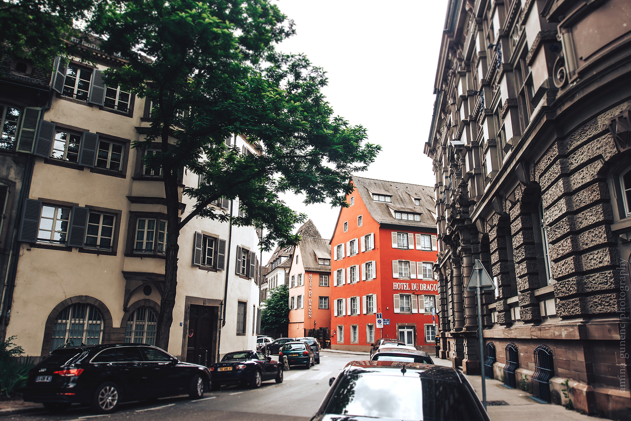 Frankrijk. Amina Gunenc - bruiloft- en familie fotograaf in Nederland