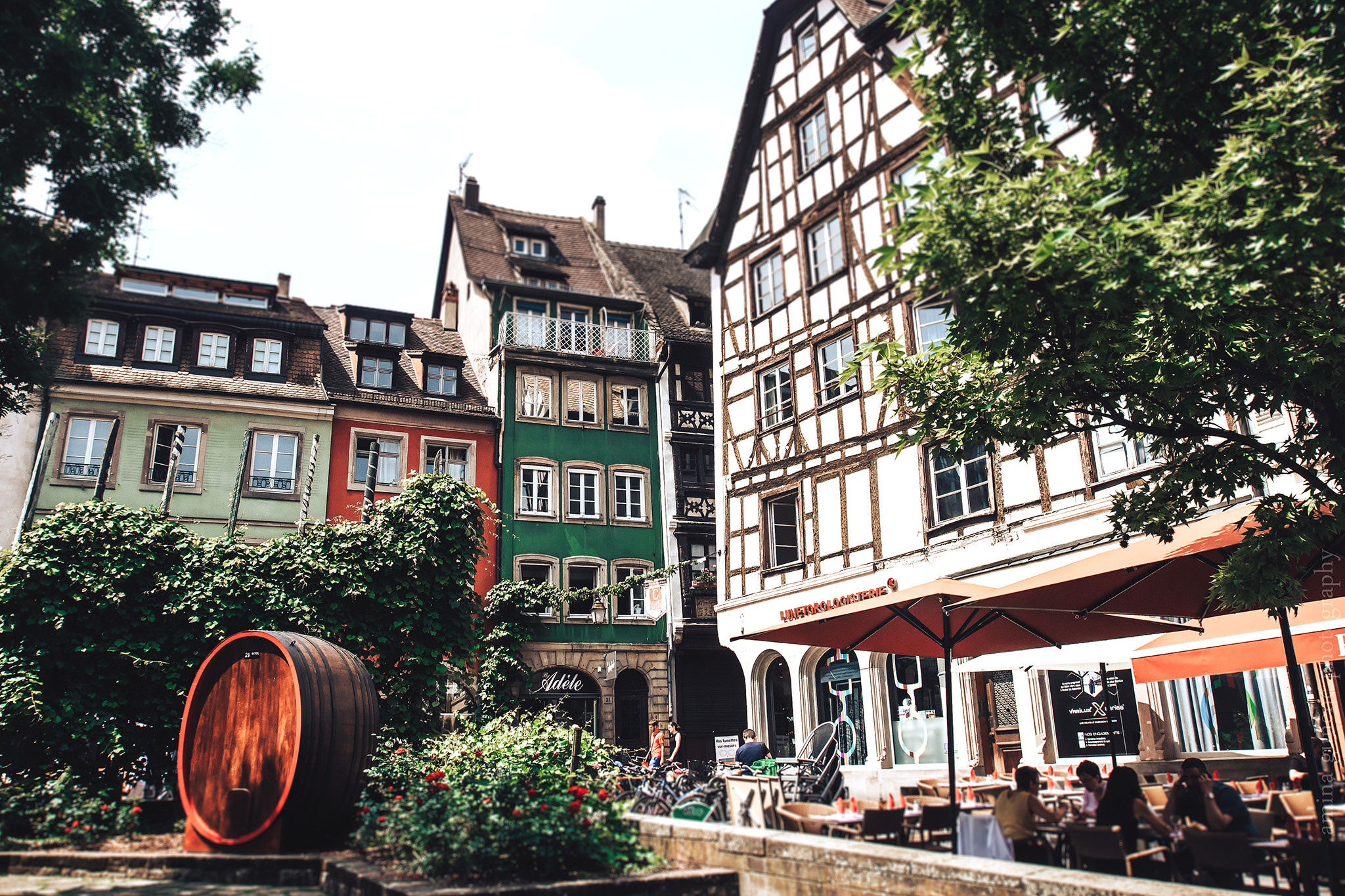 Frankrijk. Amina Gunenc - bruiloft- en familie fotograaf in Nederland