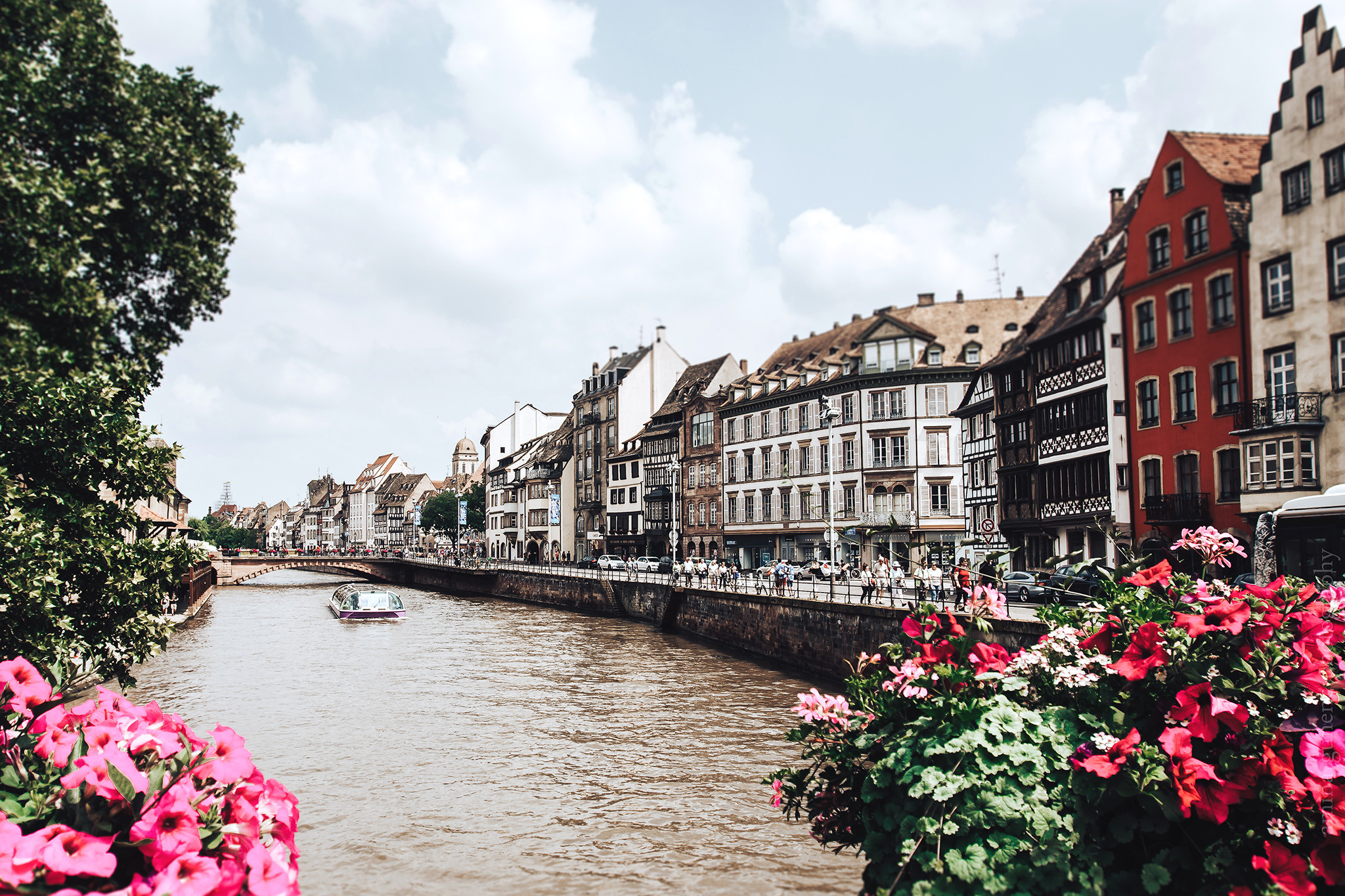 Frankrijk. Amina Gunenc - bruiloft- en familie fotograaf in Nederland