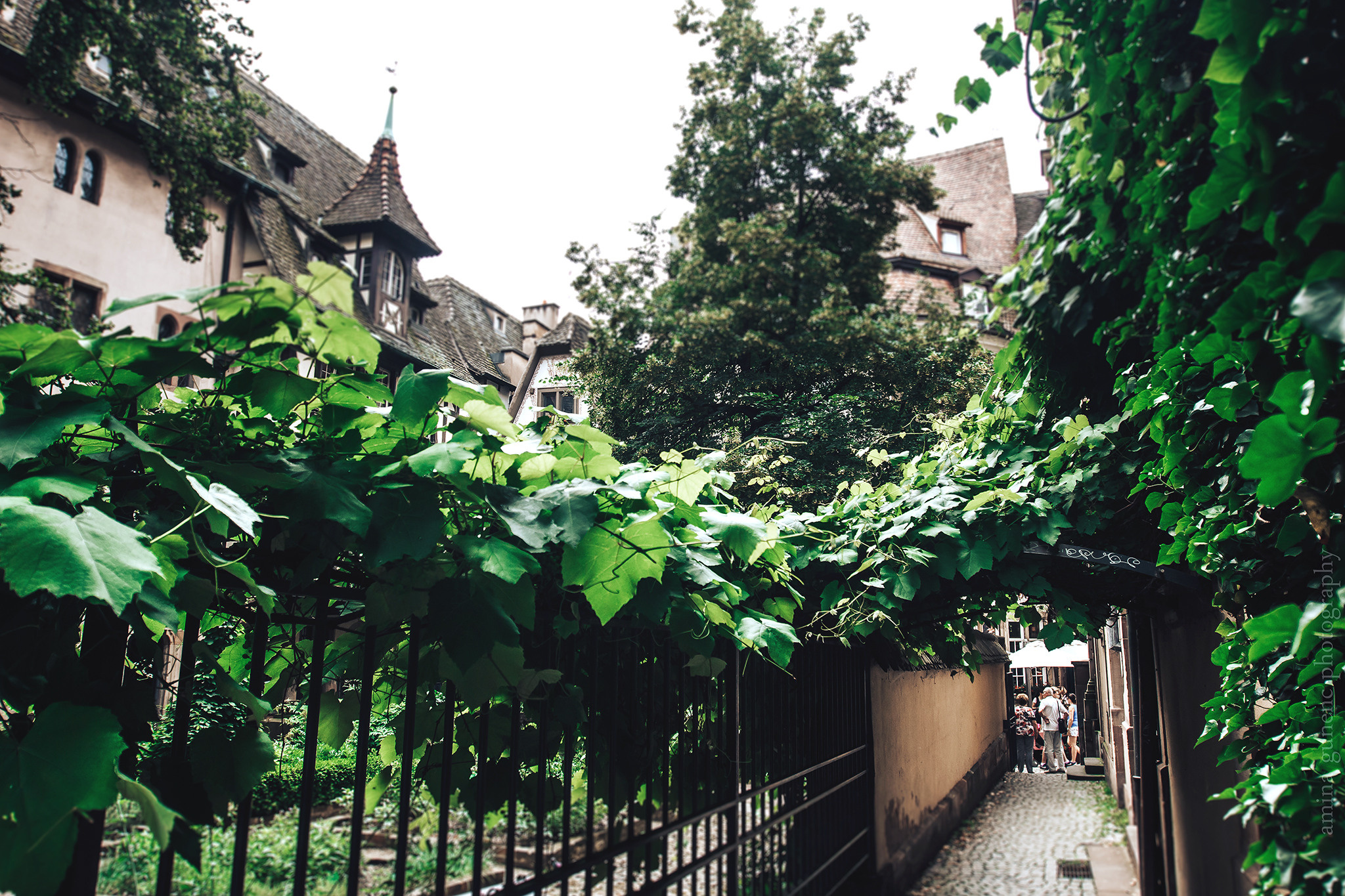 Frankrijk. Amina Gunenc - bruiloft- en familie fotograaf in Nederland