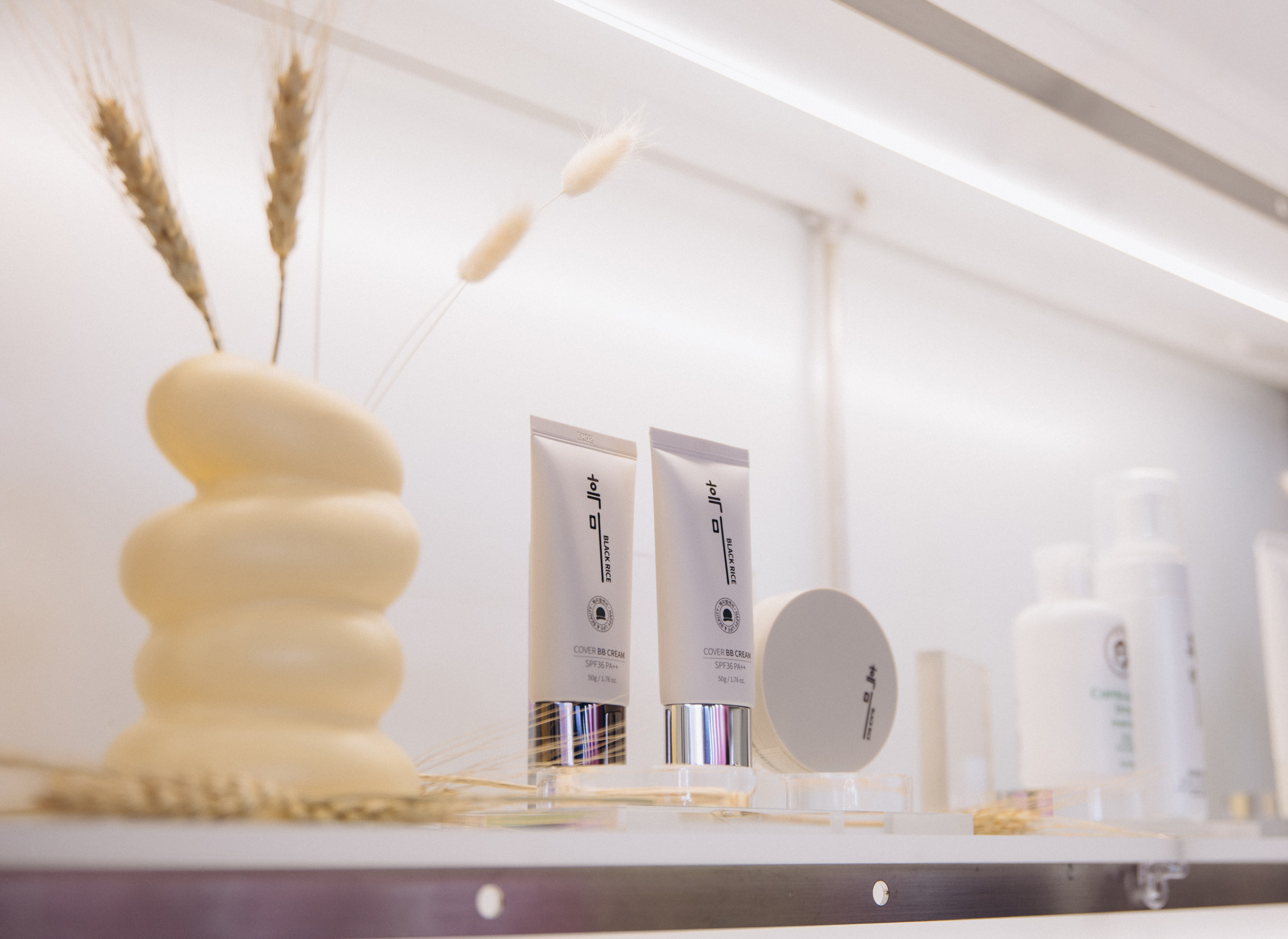 Seoul beauty expo 2025 (Black Rice). Portrait photographer in South Korea Olga Lian