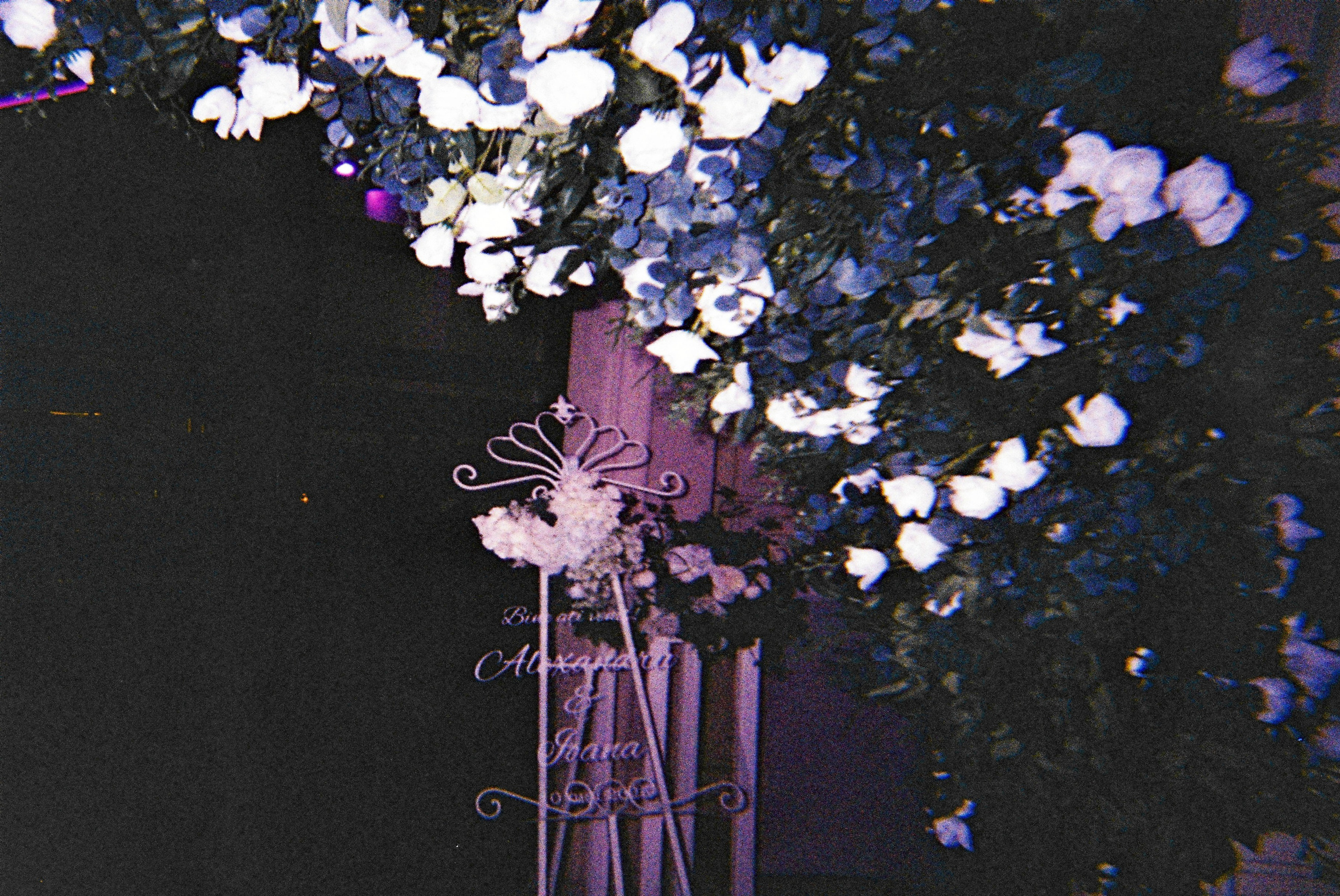 Alex & Ioana’s wedding