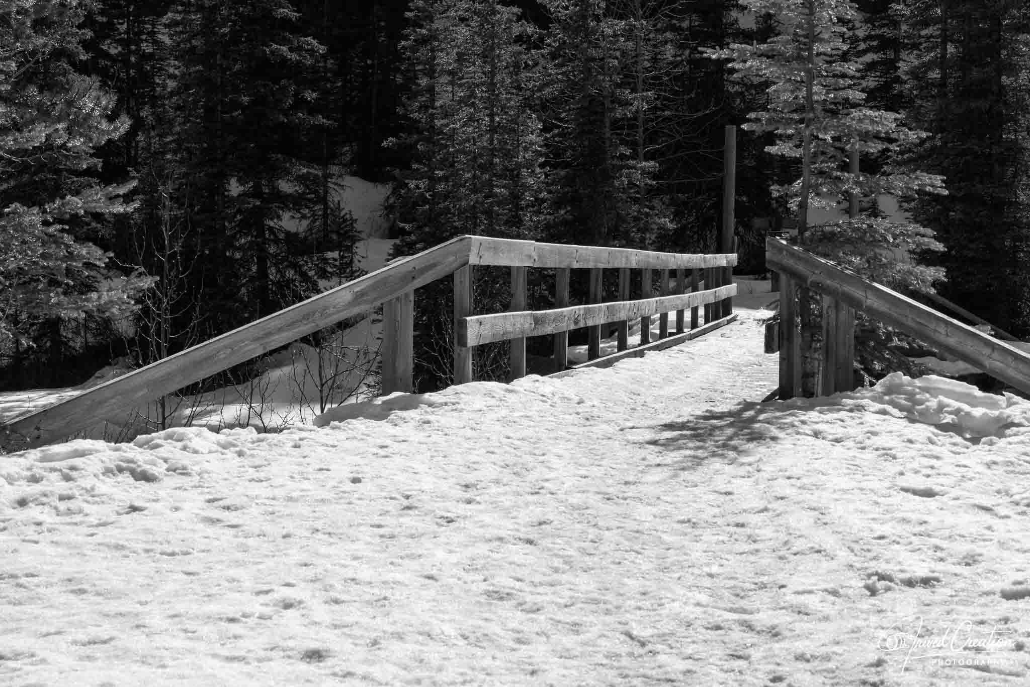 Landscape & Nature. Prived Creation