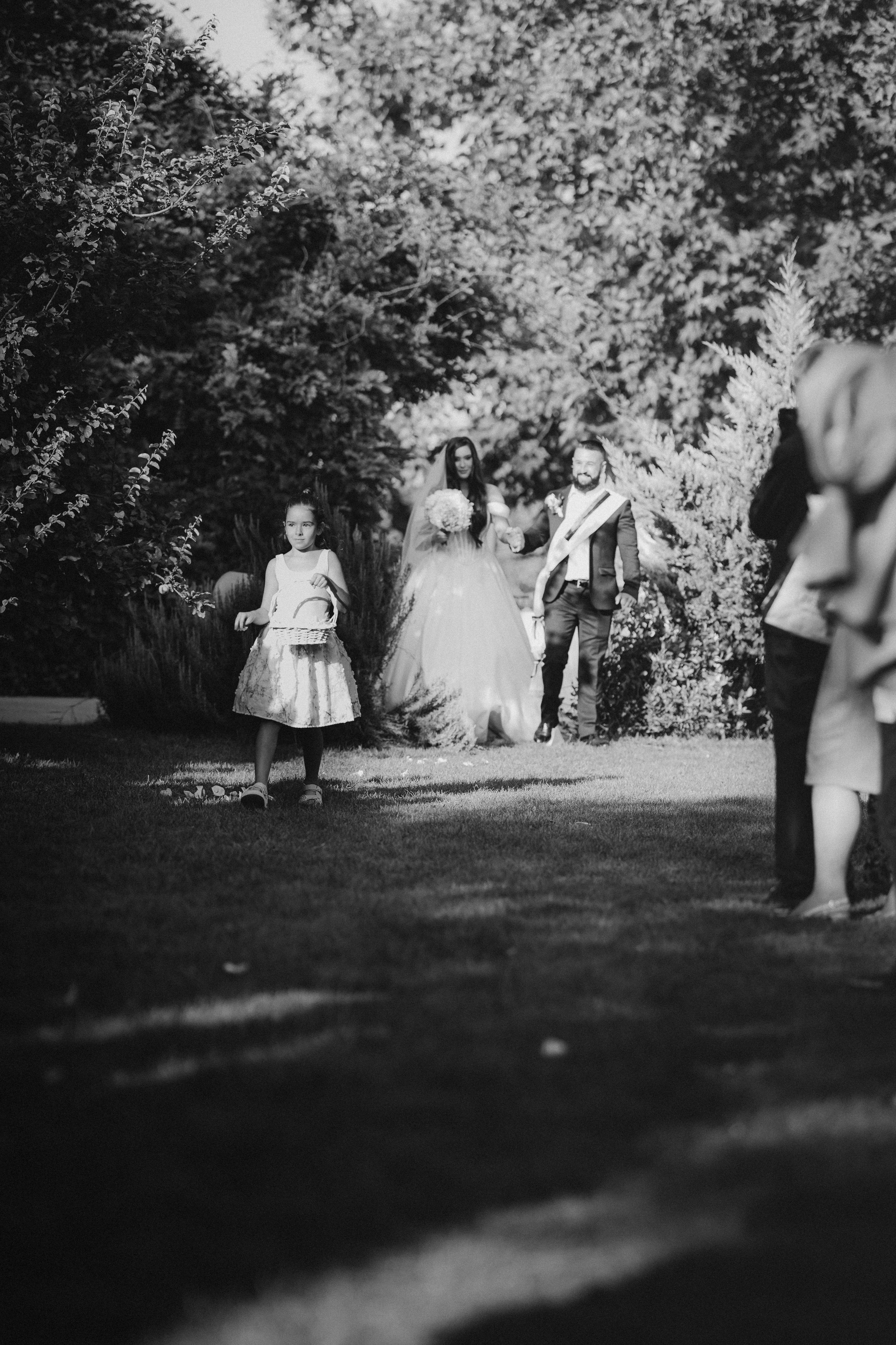 Venčanje Teodore i Dušana u Čeneju Villa Viko. Fotografisanje venčanja - Milan Luković
