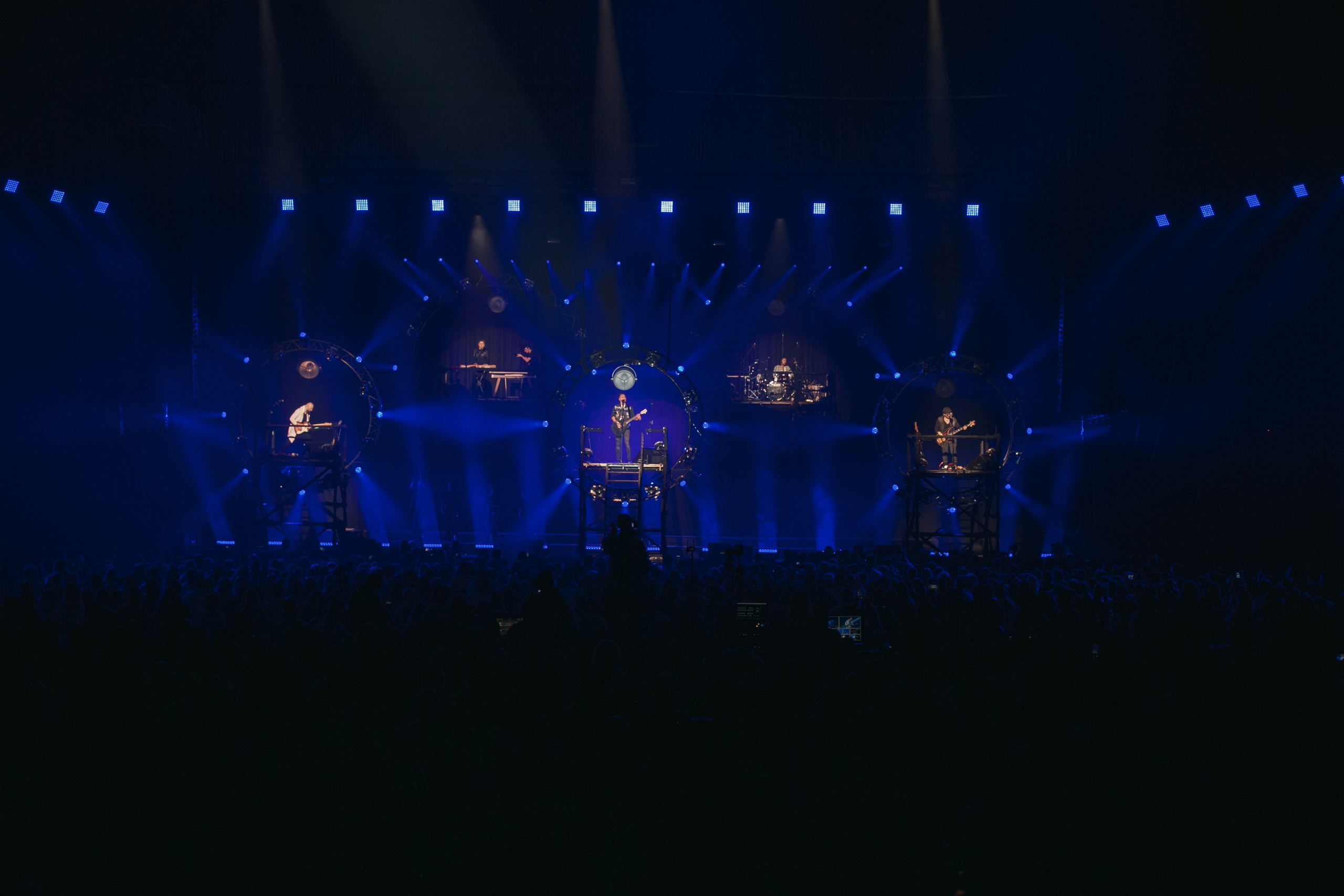 Скай. Репортажний фотограф/анімаліст КИЇВ