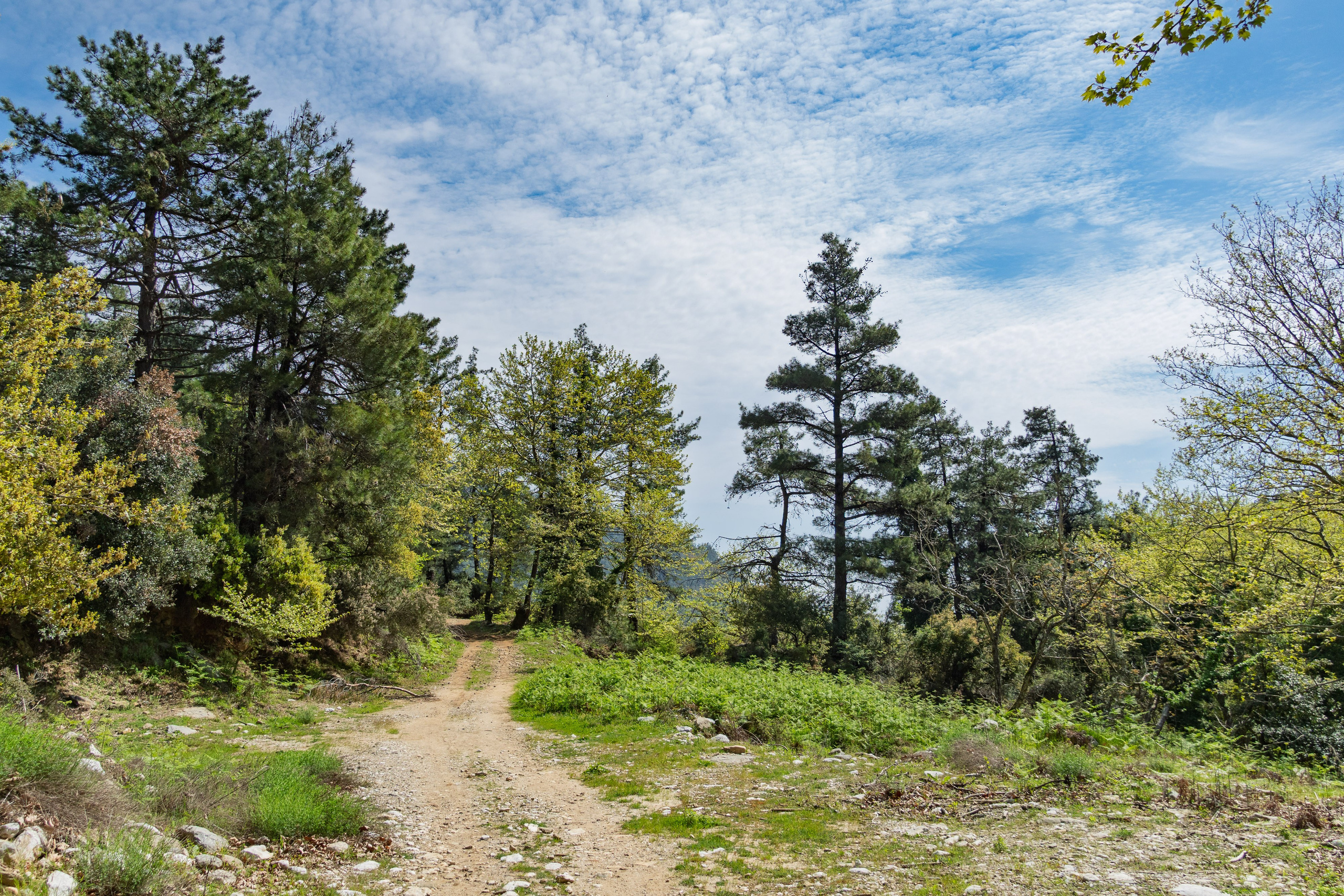 Thasos 2025. Fotografiideplacere.net