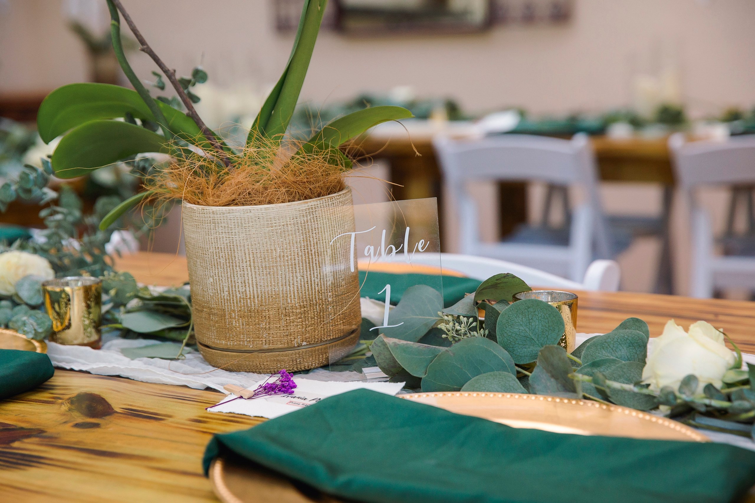 Ashley&Emanuel. Wedding photographer in Florida