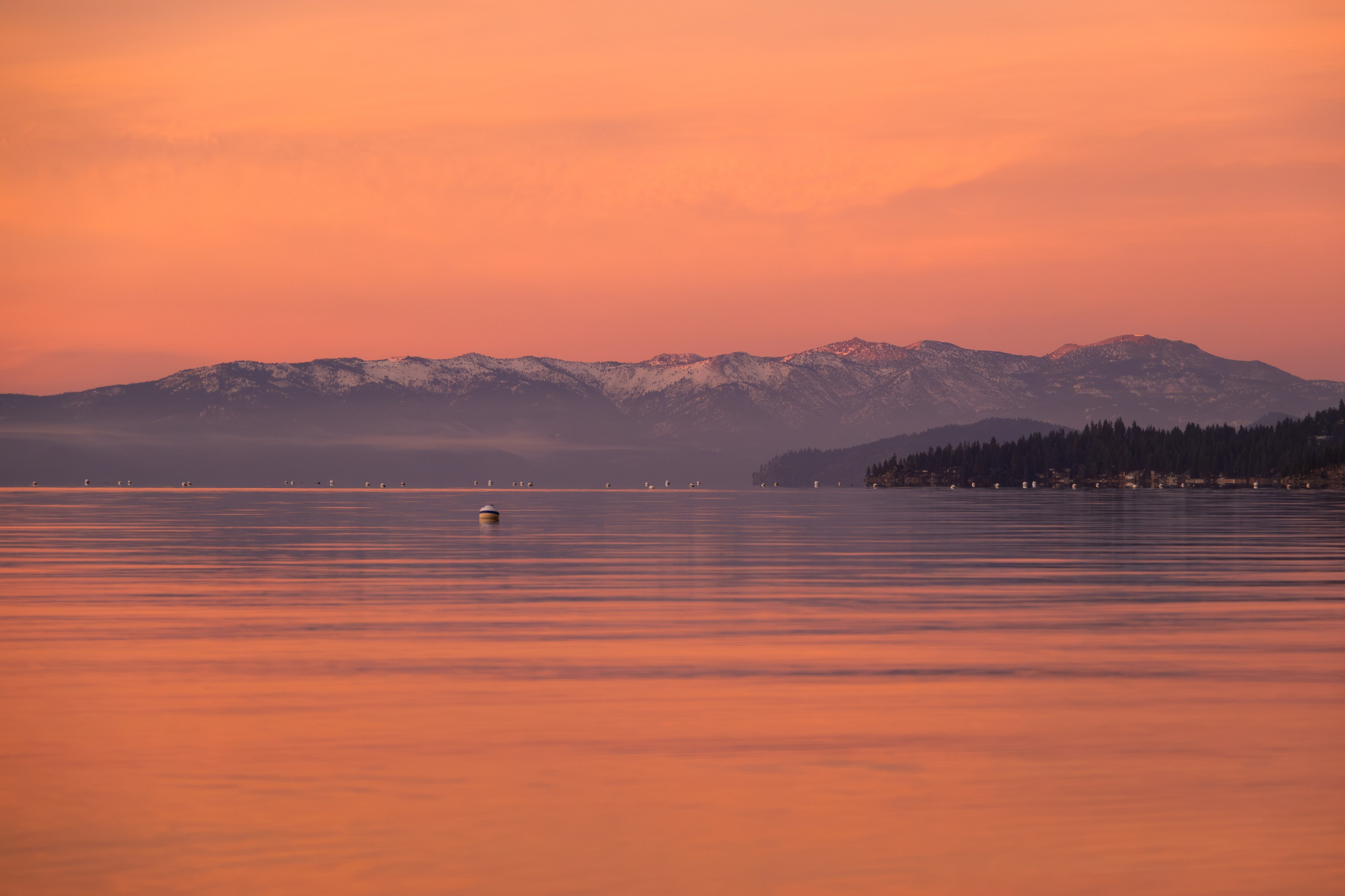 TAHOE. Reportage concert portrait photography in the San Francisco Bay Area