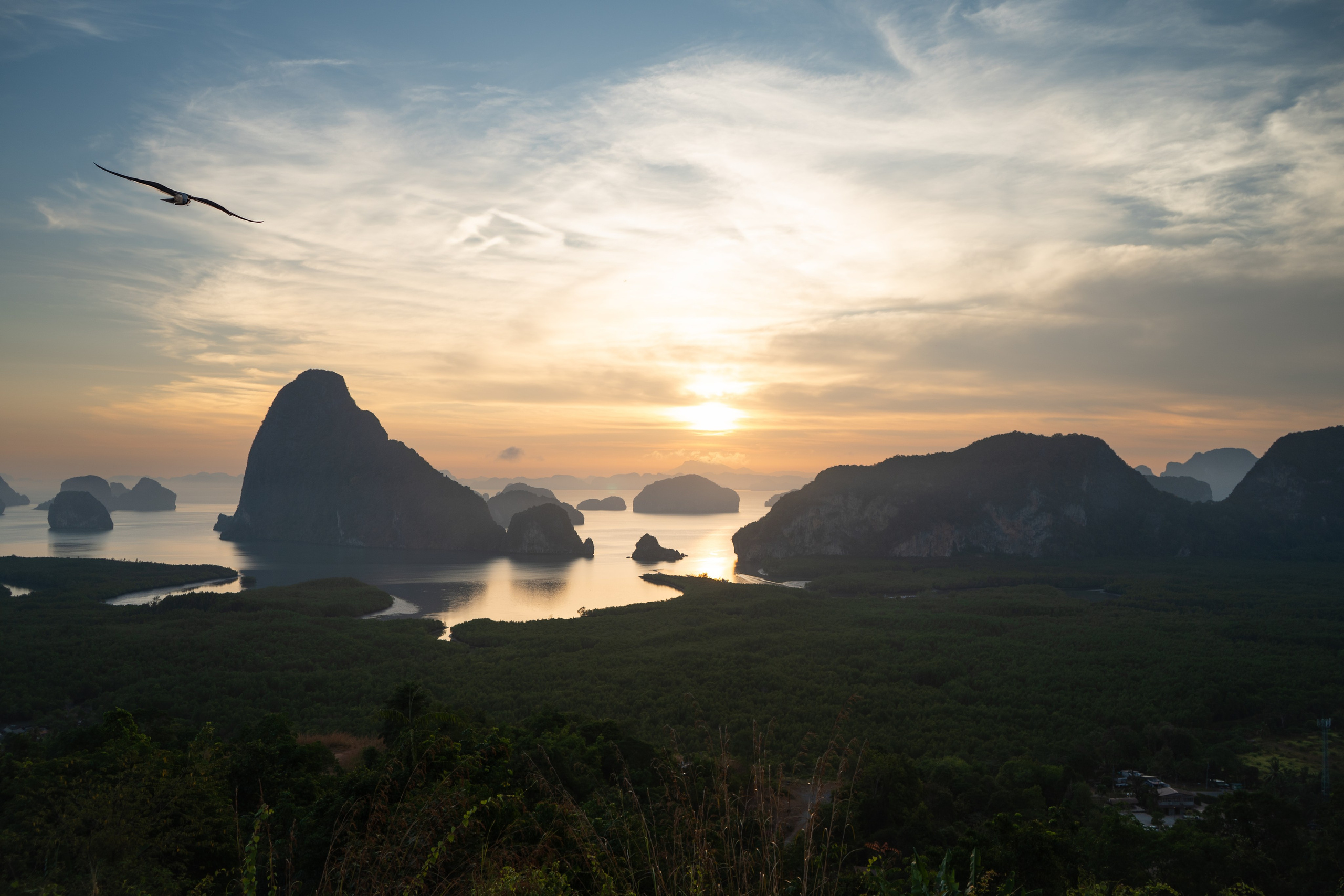 Nature photography. Creative shooting. Photographer in the UAE