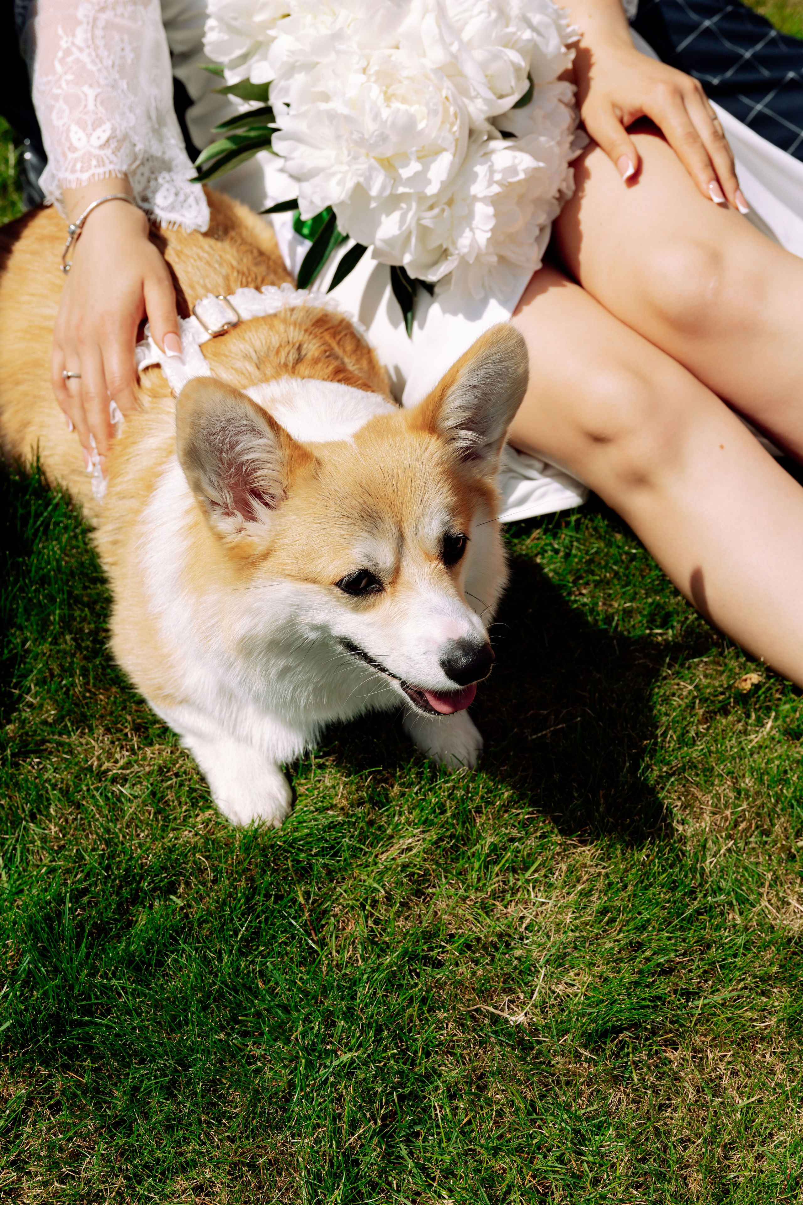 Julia&Mikołaj wedding day