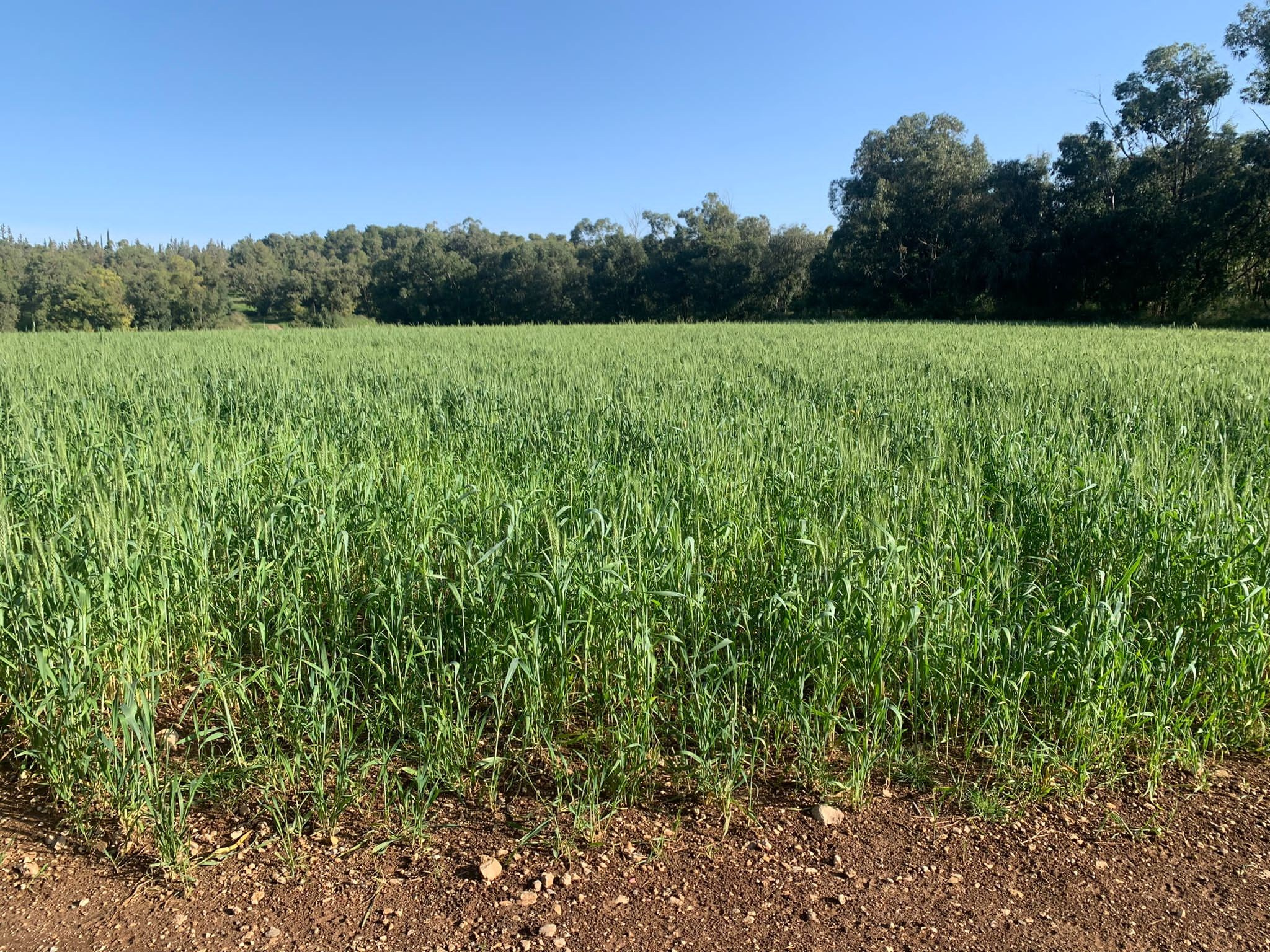 Чёрный фьорд 2021. КРиС «Нортман»