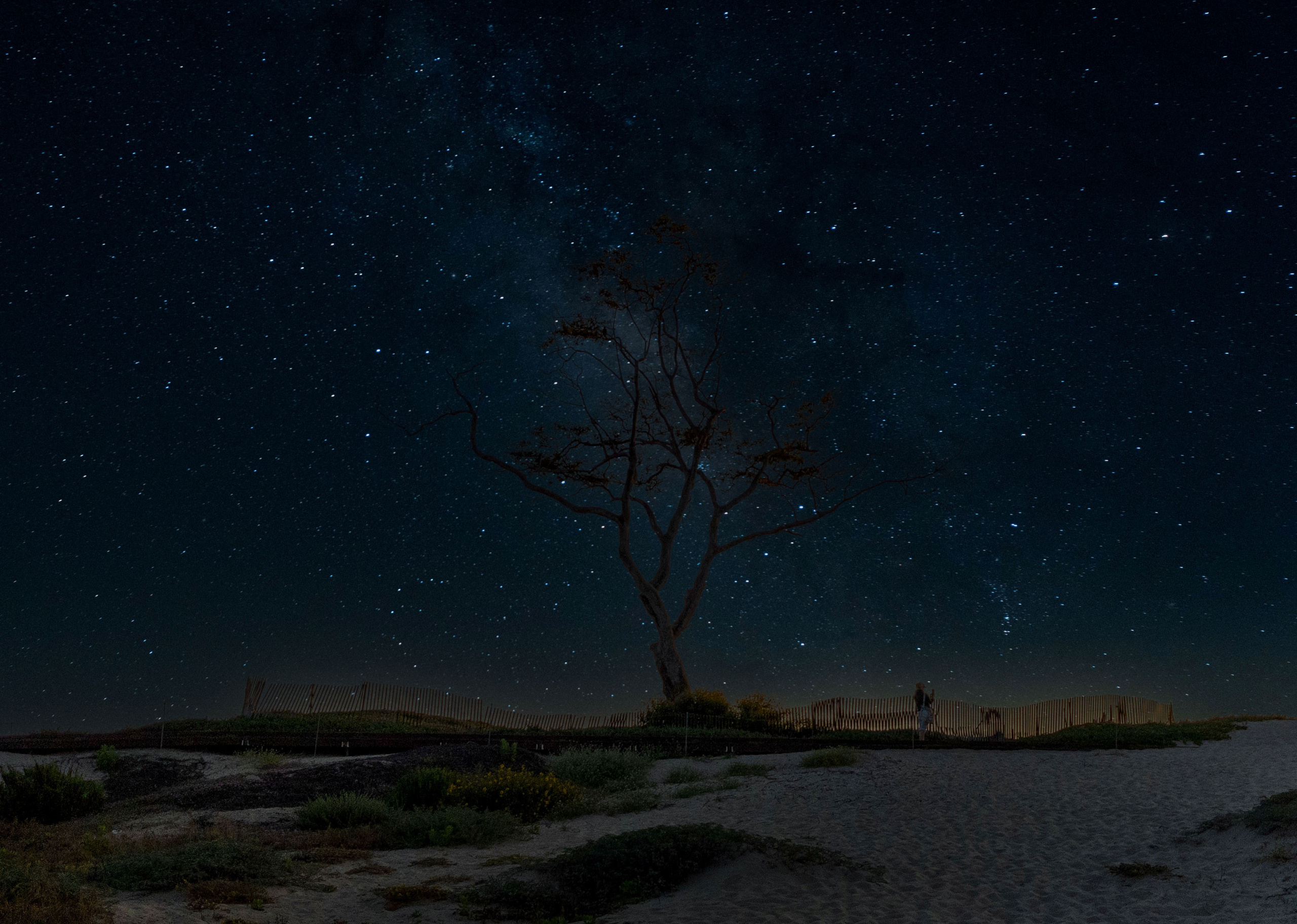 Beneath the endless canopy of stars, a lone tree stands as a quiet witness to the desert night. Nearby, a young woman pauses to take a selfie—capturing not just her own reflection, but the immensity of the universe above her. This photograph speaks to both solitude and connection: the rootedness of earth, the vastness of the cosmos, and the human desire to leave a trace within it all.