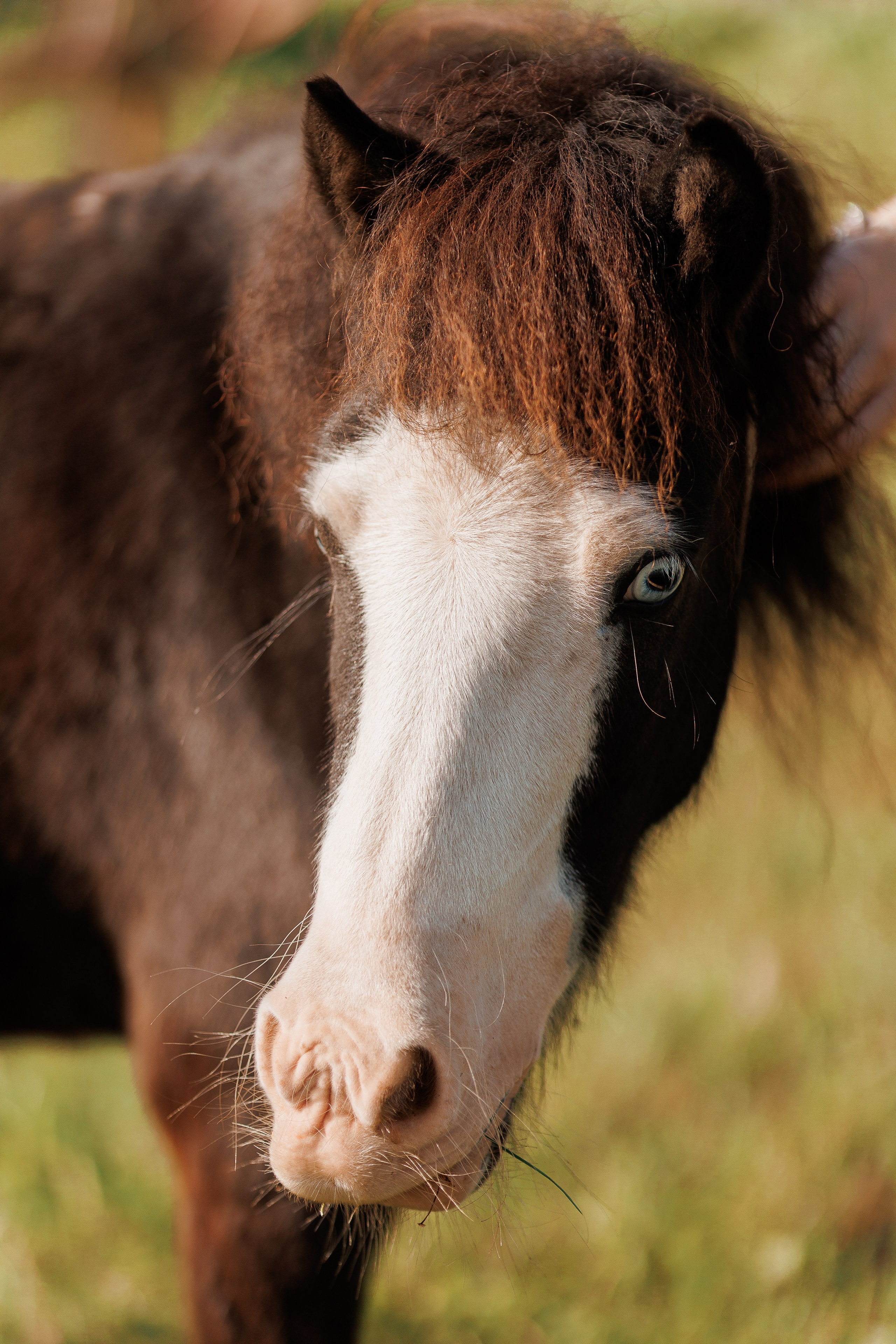 Екопарк Аміла. Ірина Терещук