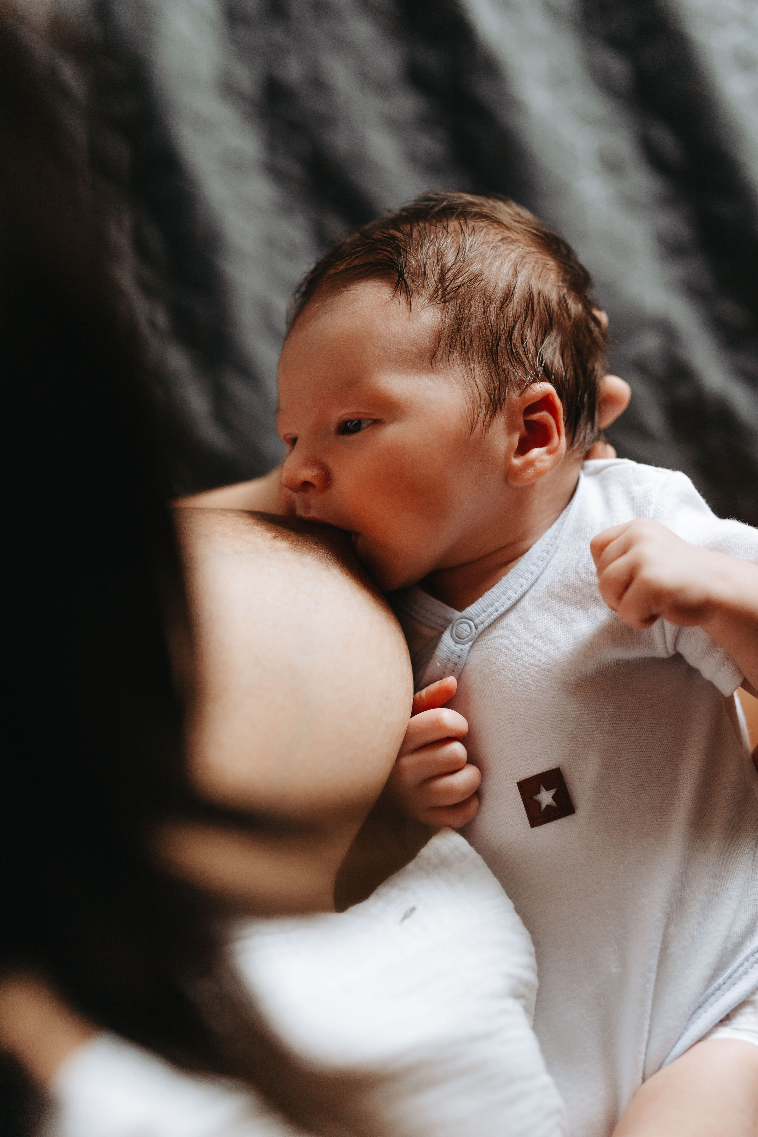 Pierwsza sesja Franka