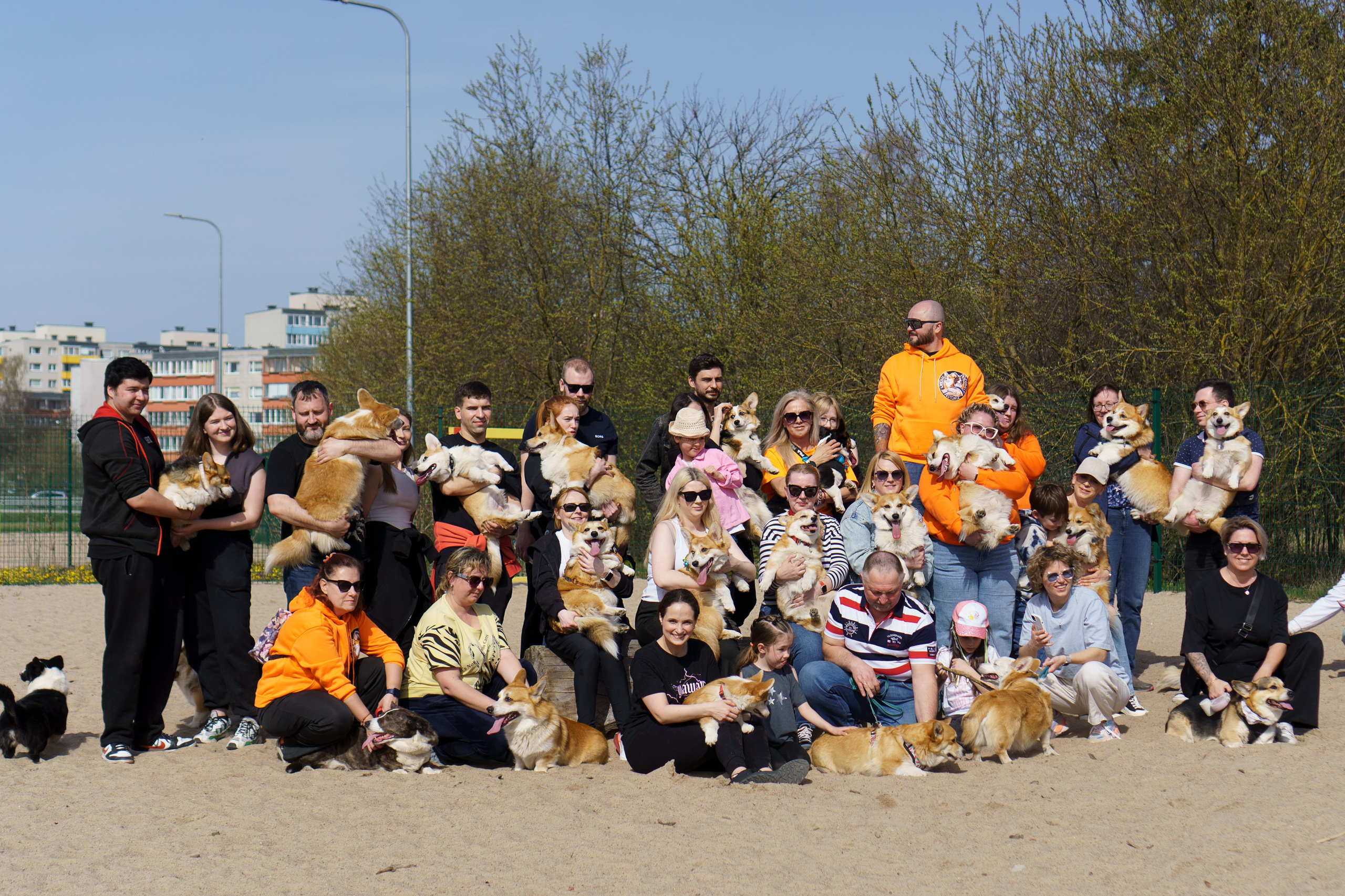 Corgi party, 18 apr. 2025. Kat Laisaar — Pet photographer in Tallinn