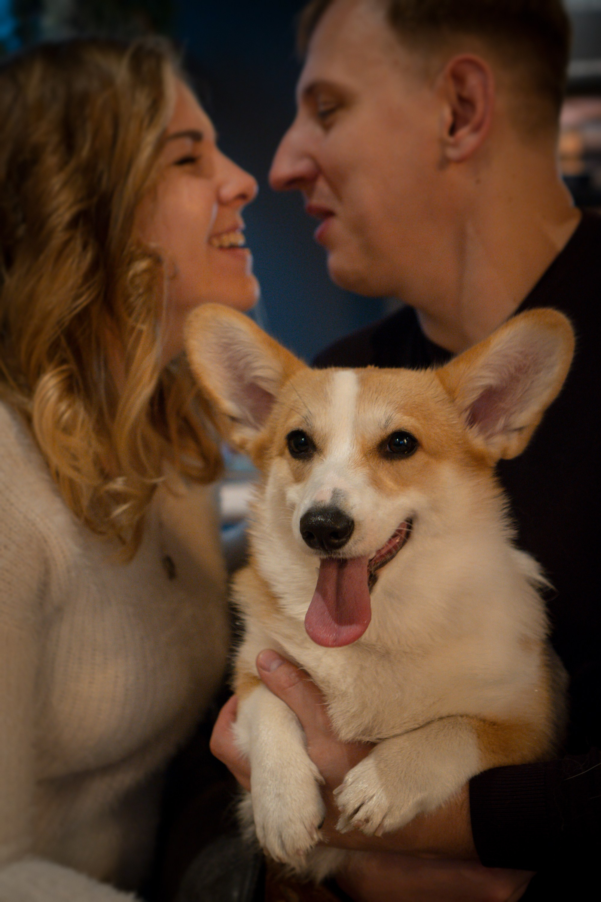 Maarika, Jegor and their Luna, Pembroke Welsh Corgi. Kat Laisaar — Pet photographer in Tallinn