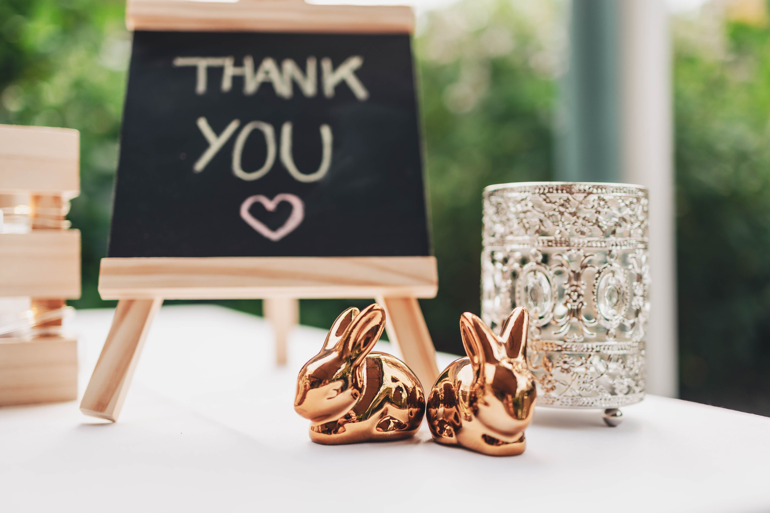 Sara + Jarrad. True Story Photography