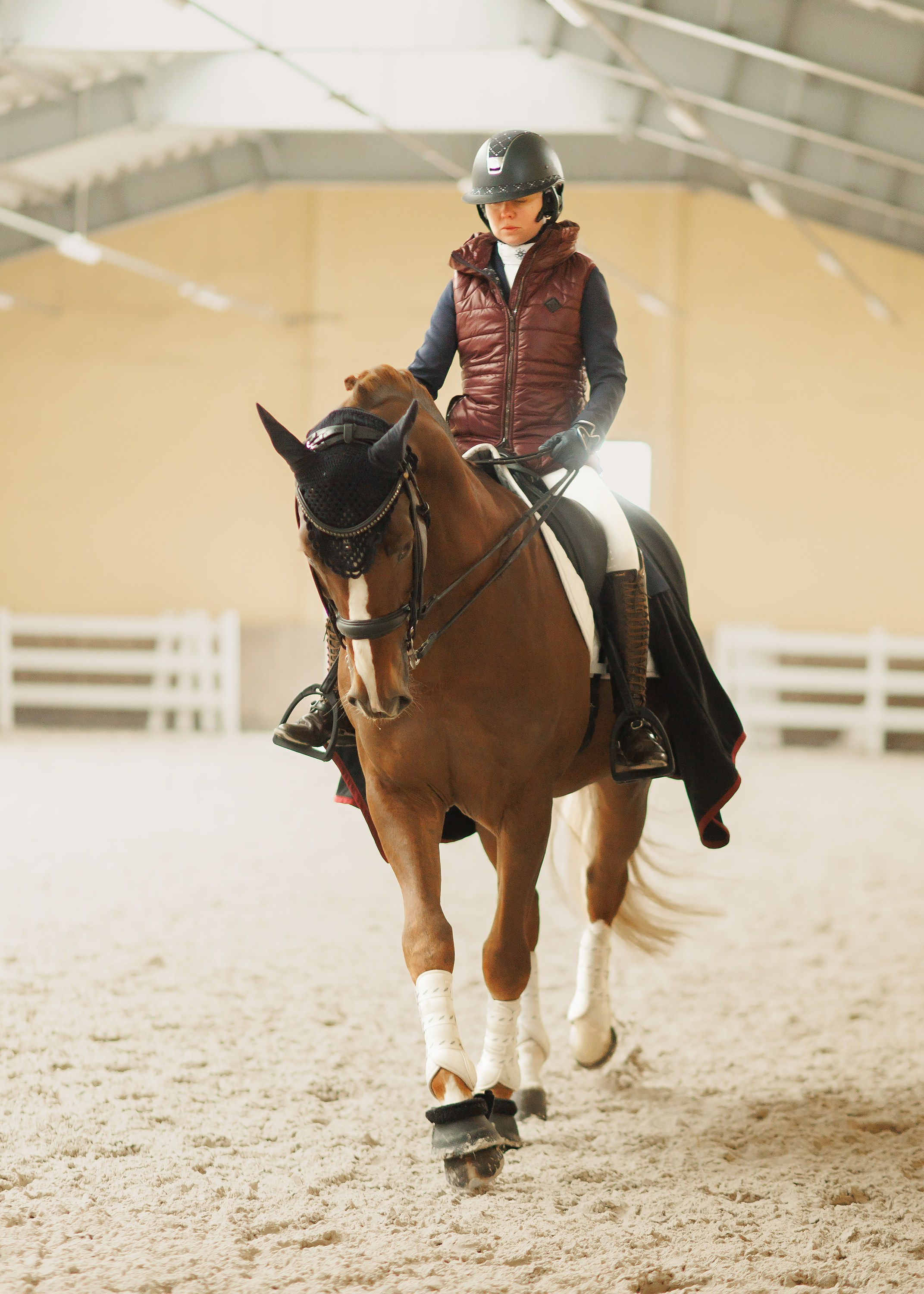 Fotografia koni Wrocław \ ujeżdżenie, Partynice. Kaja | fotograf we Wrocławiu | ludzie i psy