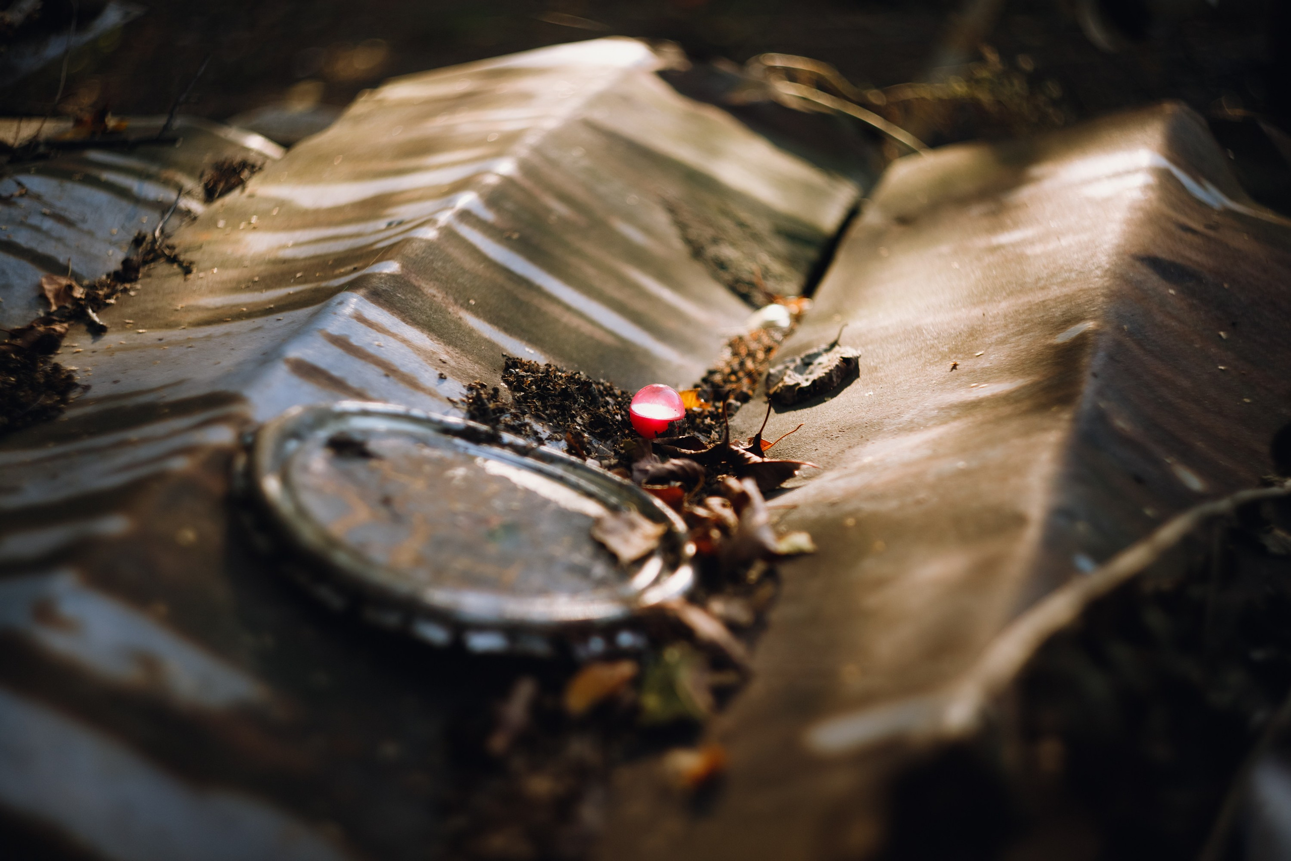 Grandmother's home in Brest. Kaja | fotograf we Wrocławiu | ludzie i psy