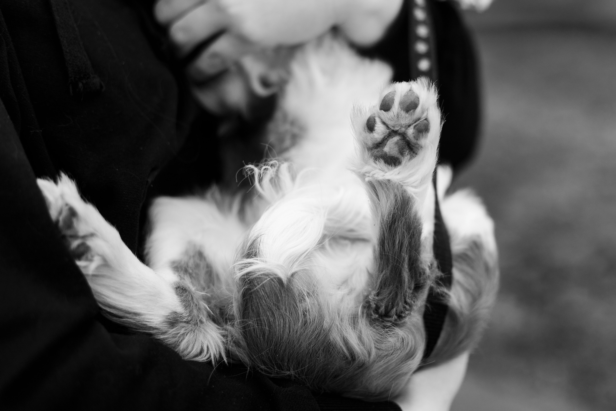 Uliana i Franklin. Kaja | fotograf we Wrocławiu | ludzie i psy