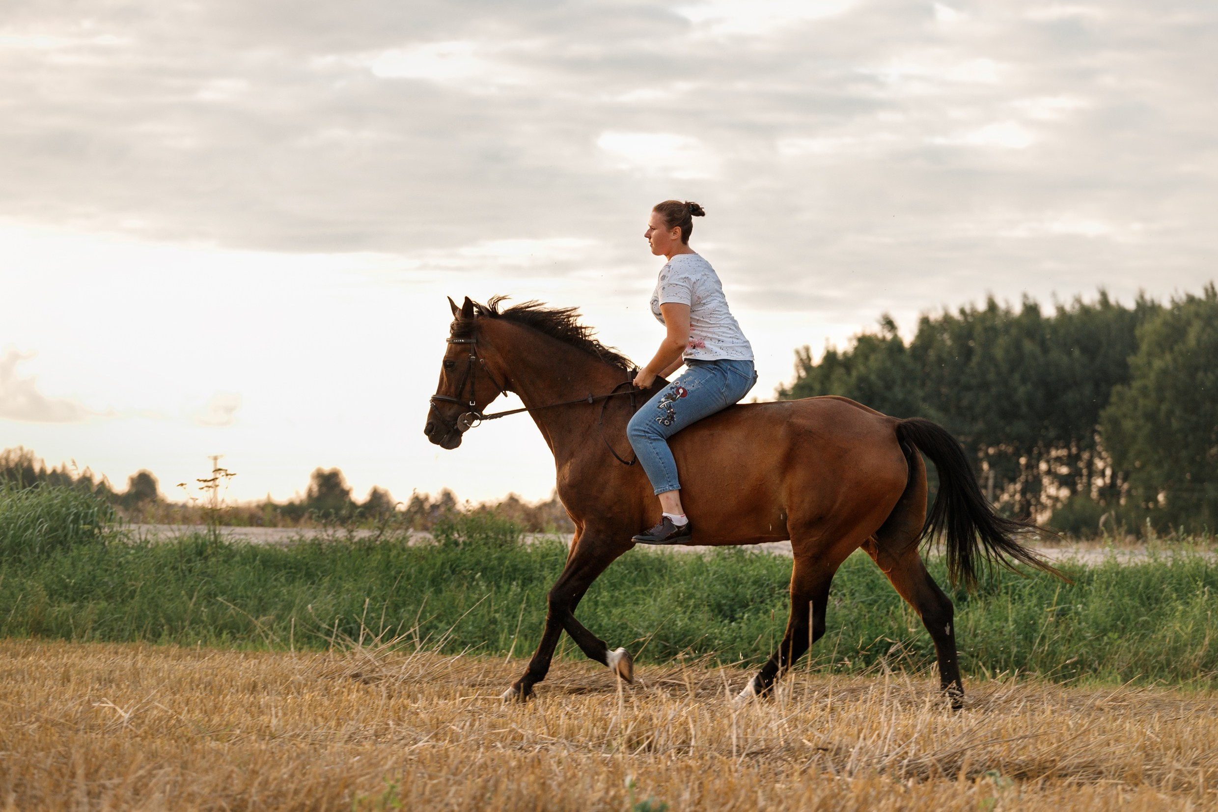 One sunset. Kaja | fotograf psów we Wrocławiu
