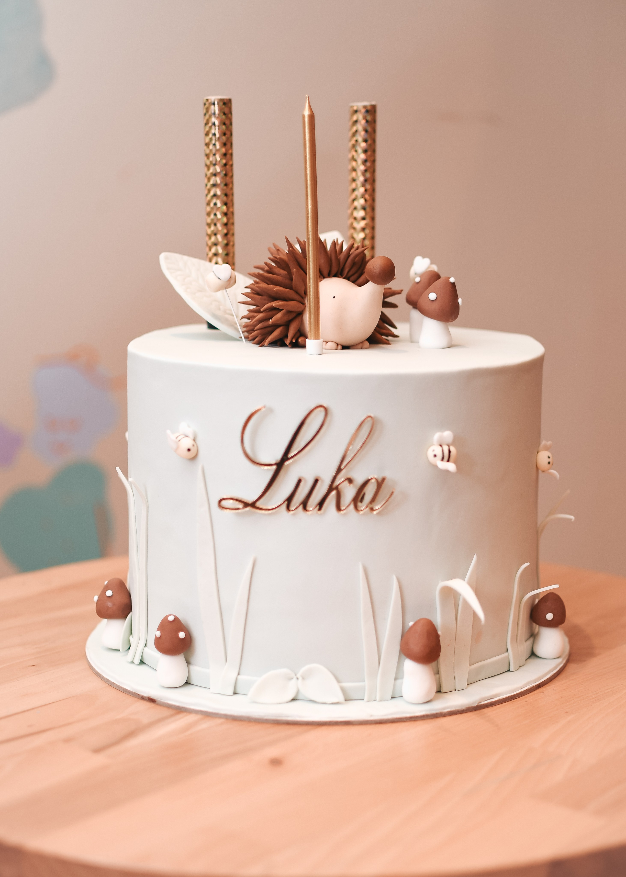 Luka, rođendan. BambinaaPhotography